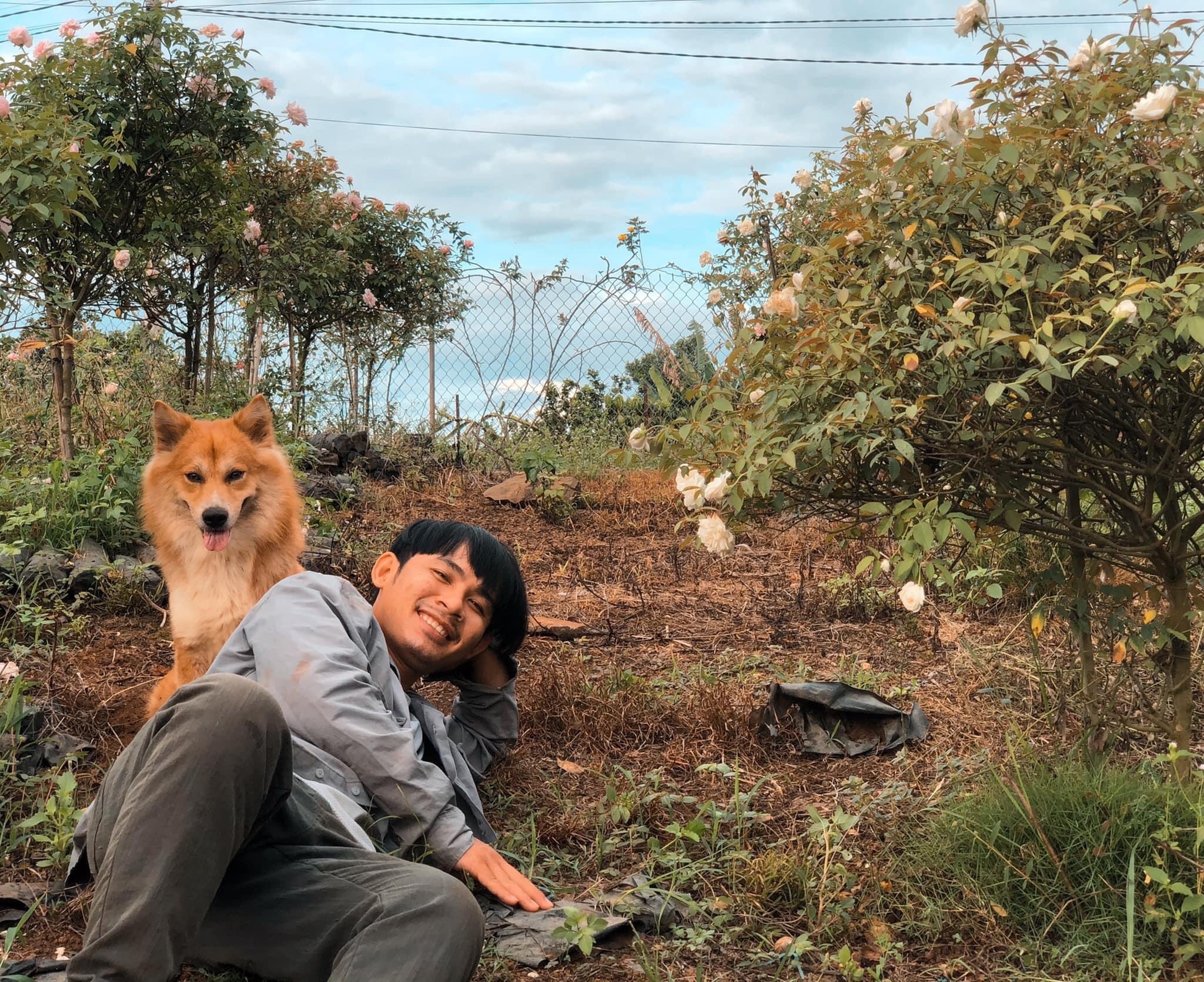 Chang trai trong hoa hong trong vuon 2.000 m2 anh 1