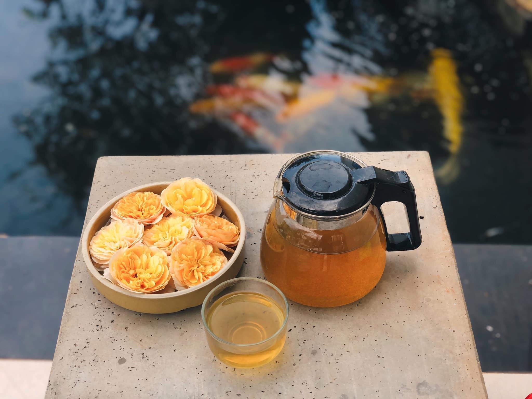 Chang trai trong hoa hong trong vuon 2.000 m2 anh 7