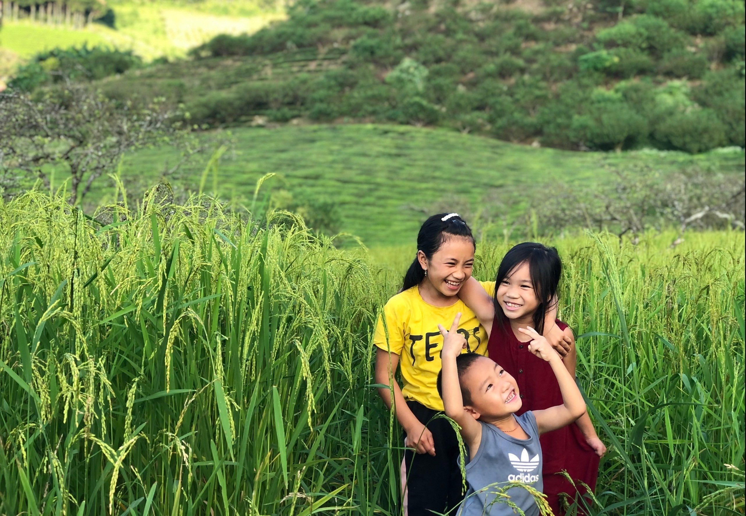 Gia dinh dung nha, lam vuon khi ket o Moc Chau 3 thang vi dich hinh anh