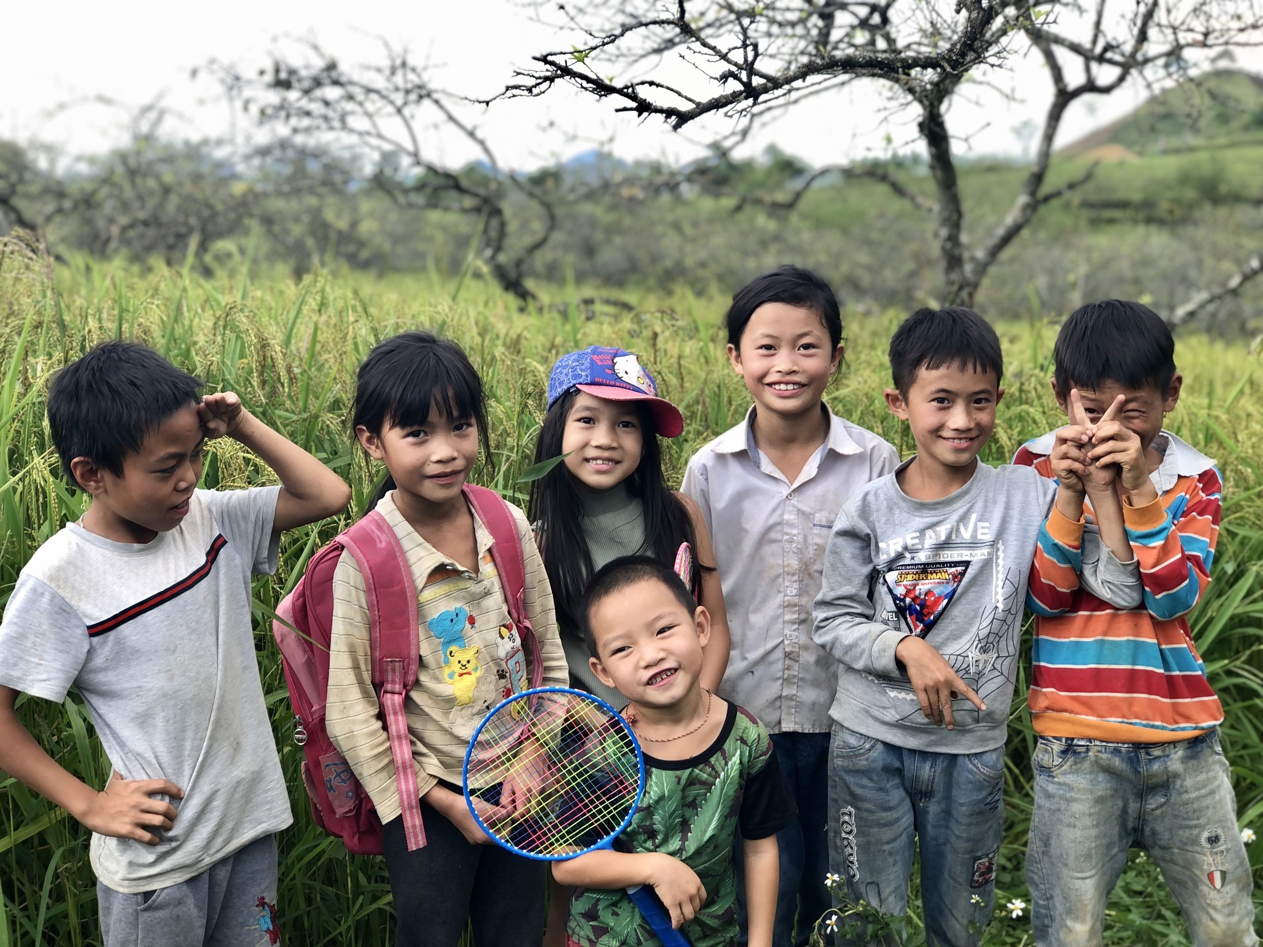 Dựng nhà làm vườn khi kẹt ở Mộc Châu ảnh 10 Dung nha lam vuon khi ket o Moc Chau anh 10