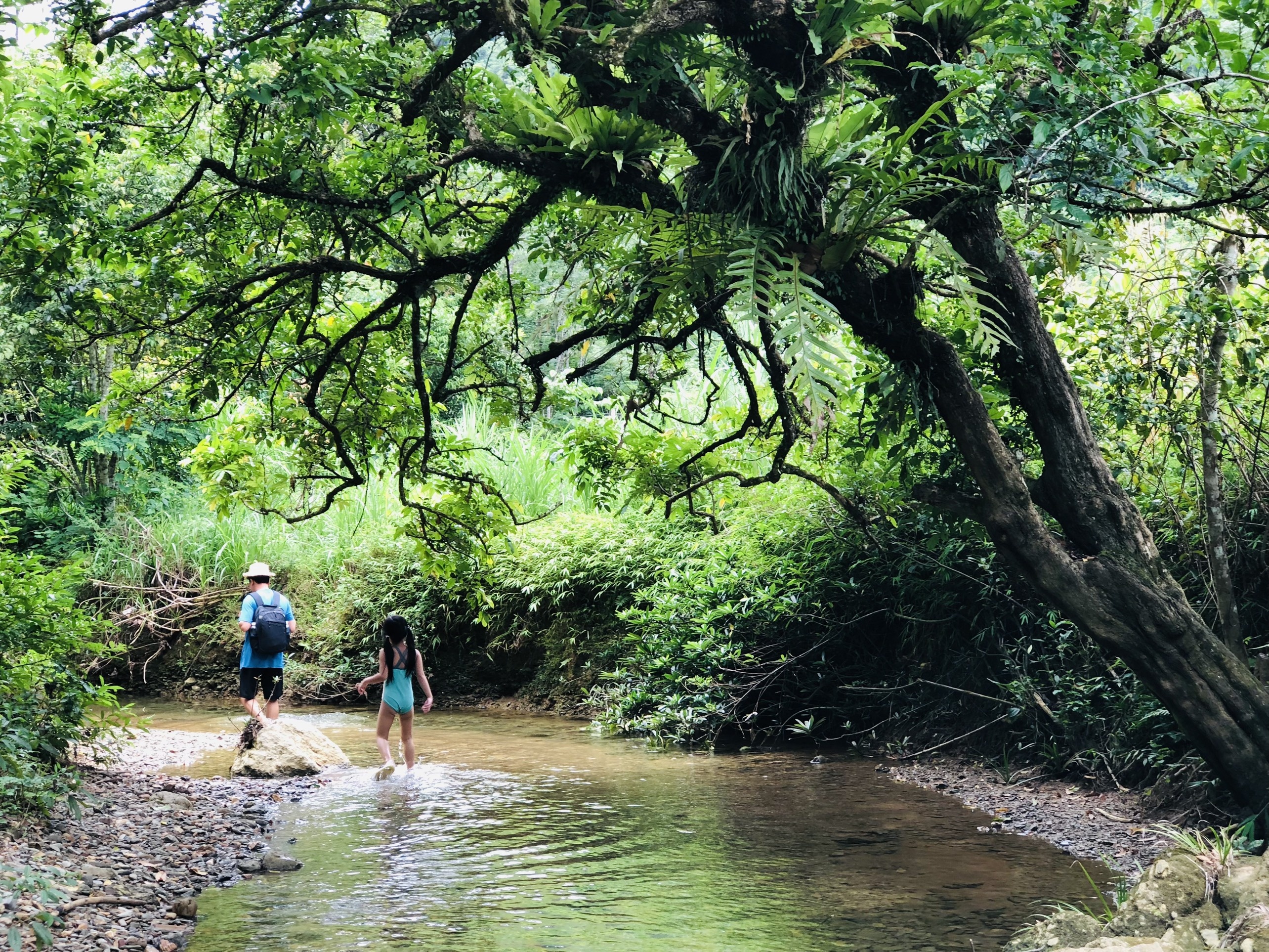 Dựng nhà làm vườn khi kẹt ở Mộc Châu ảnh 5 Dung nha lam vuon khi ket o Moc Chau anh 5