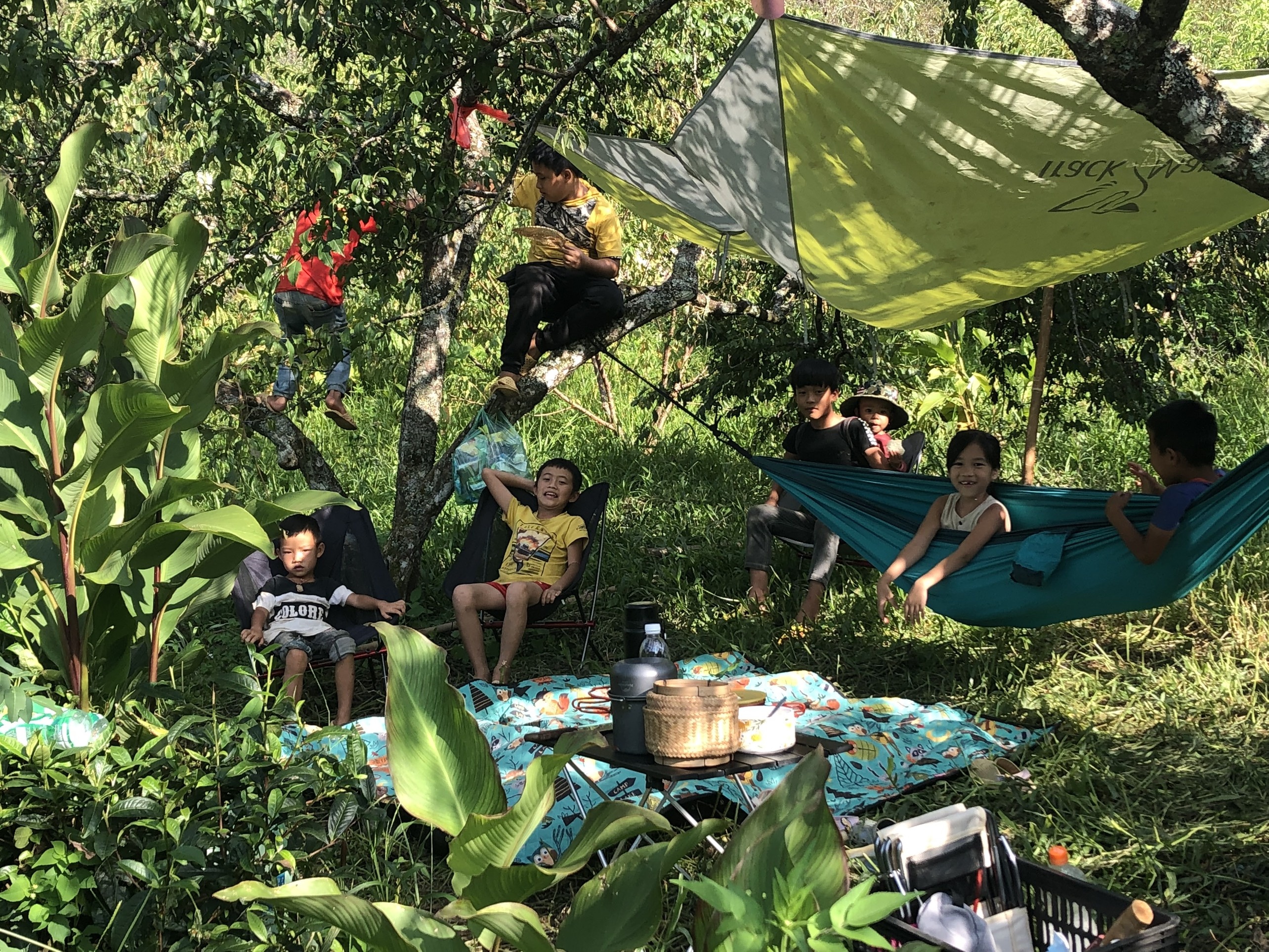 Dựng nhà làm vườn khi kẹt ở Mộc Châu ảnh 8 Dung nha lam vuon khi ket o Moc Chau anh 8