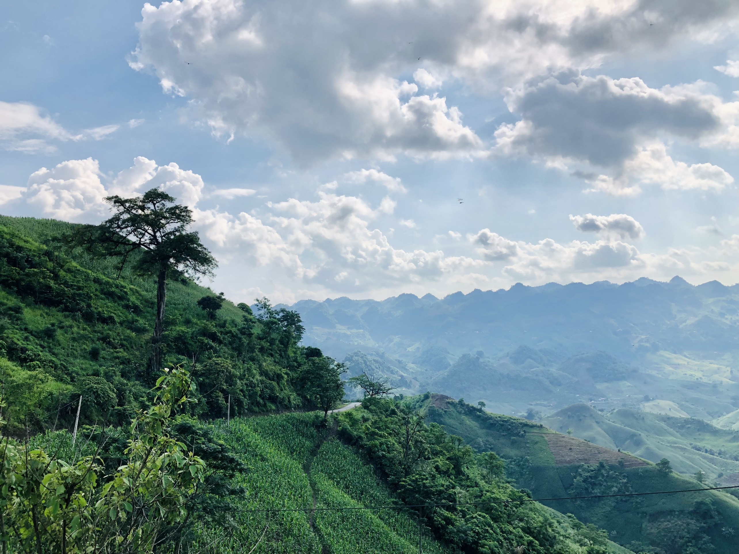 Dựng nhà làm vườn khi kẹt ở Mộc Châu ảnh 6 Dung nha lam vuon khi ket o Moc Chau anh 6