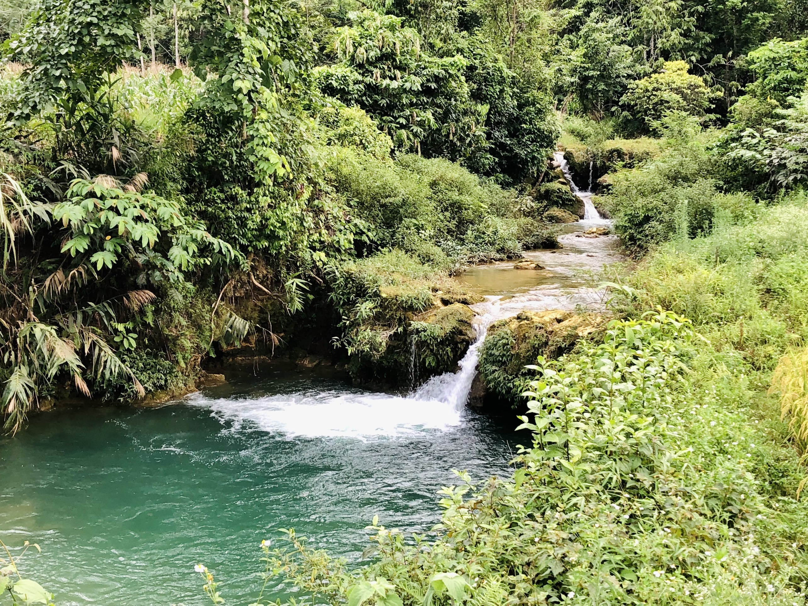 Dựng nhà làm vườn khi kẹt ở Mộc Châu ảnh 7 Dung nha lam vuon khi ket o Moc Chau anh 7