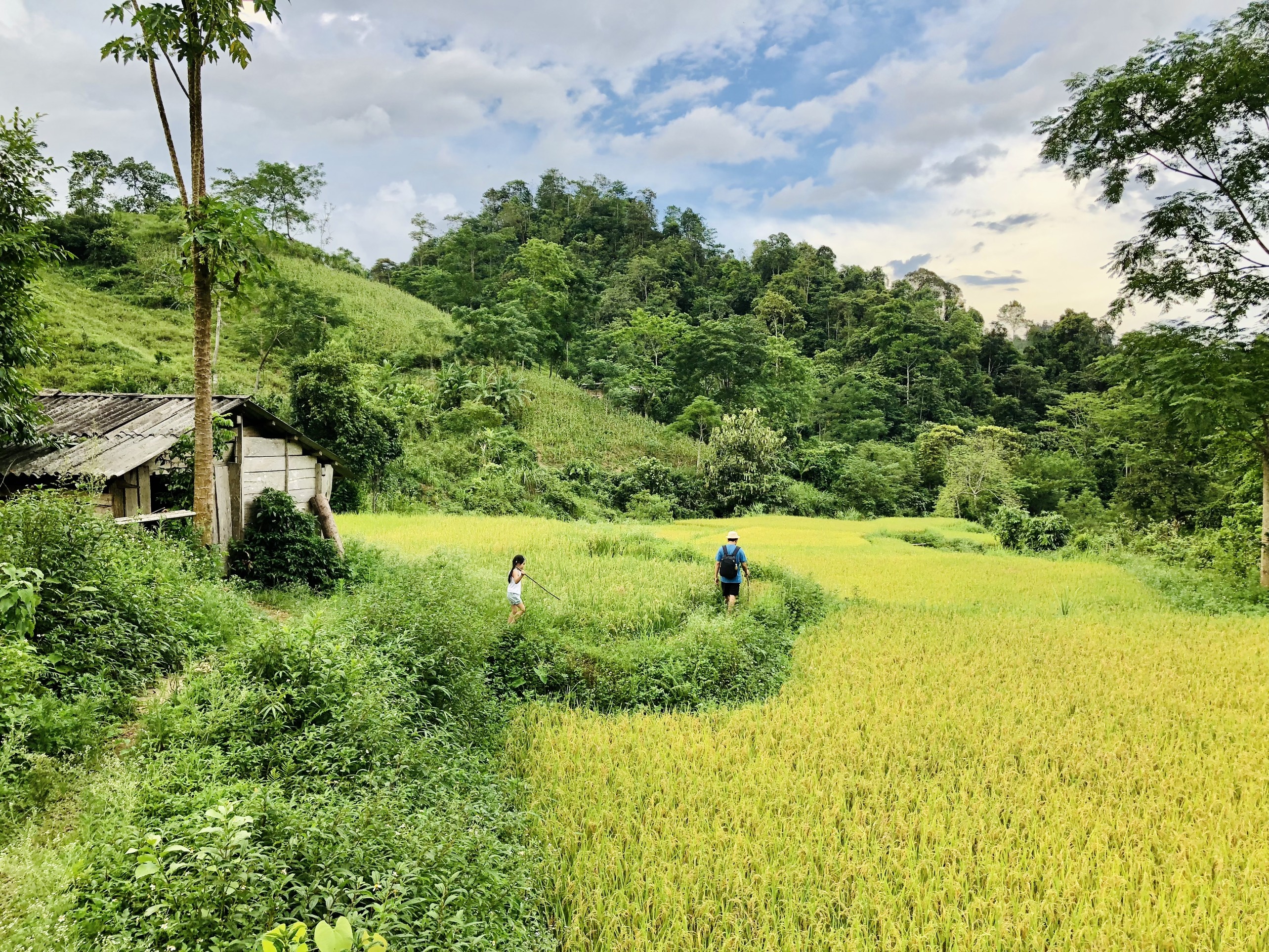 Dựng nhà làm vườn khi kẹt ở Mộc Châu ảnh 4 Dung nha lam vuon khi ket o Moc Chau anh 4