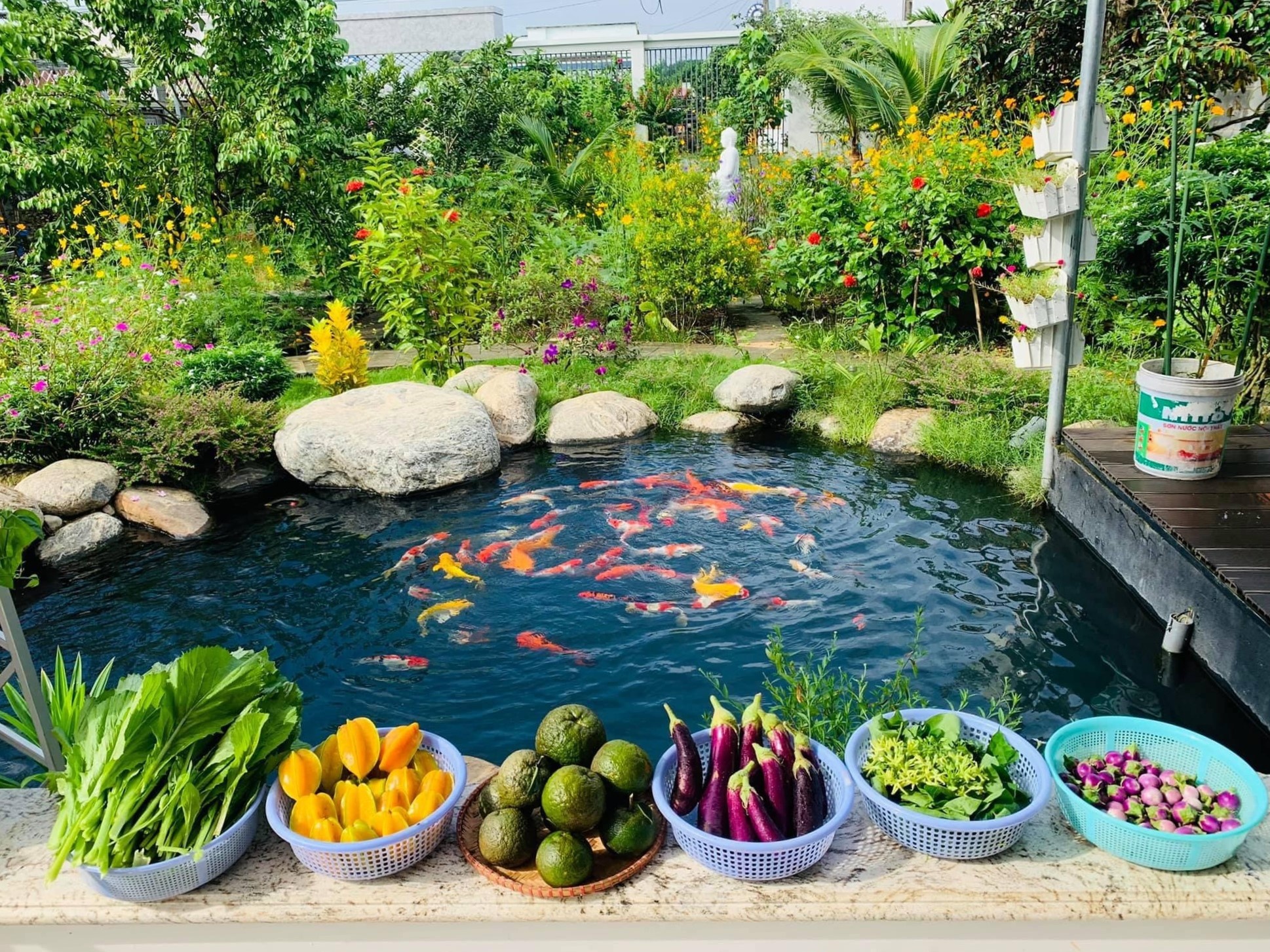 Chong tang vo manh dat 720 m2 de trong rau nuoi ca anh 5