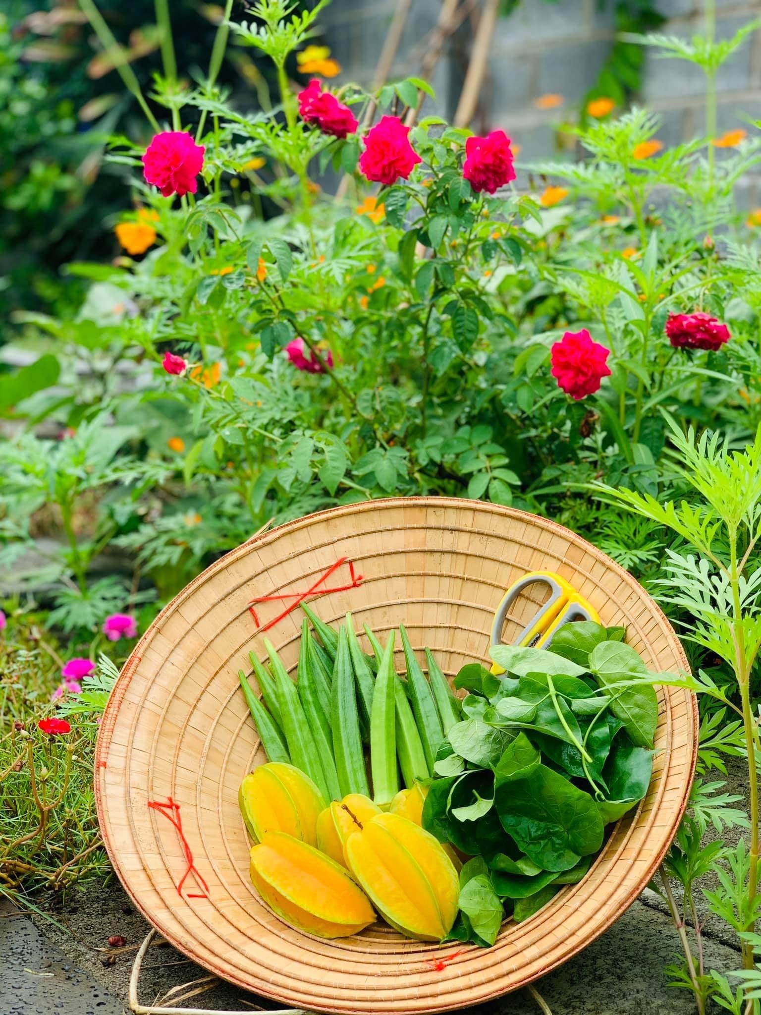 Chong tang vo manh dat 720 m2 de trong rau nuoi ca anh 10