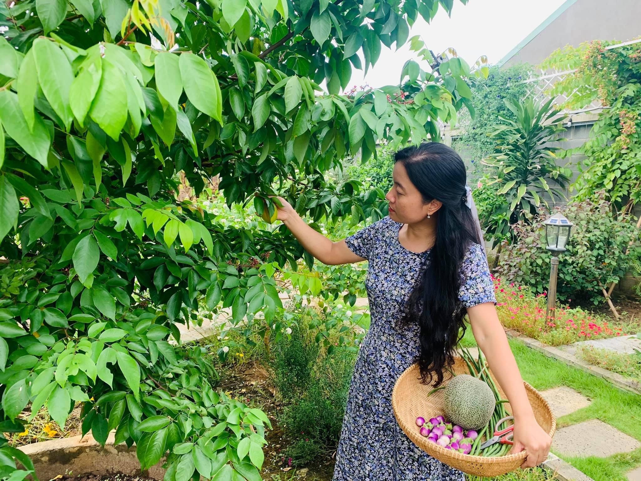 Chong tang vo manh dat 720 m2 de trong rau, nuoi ca hinh anh