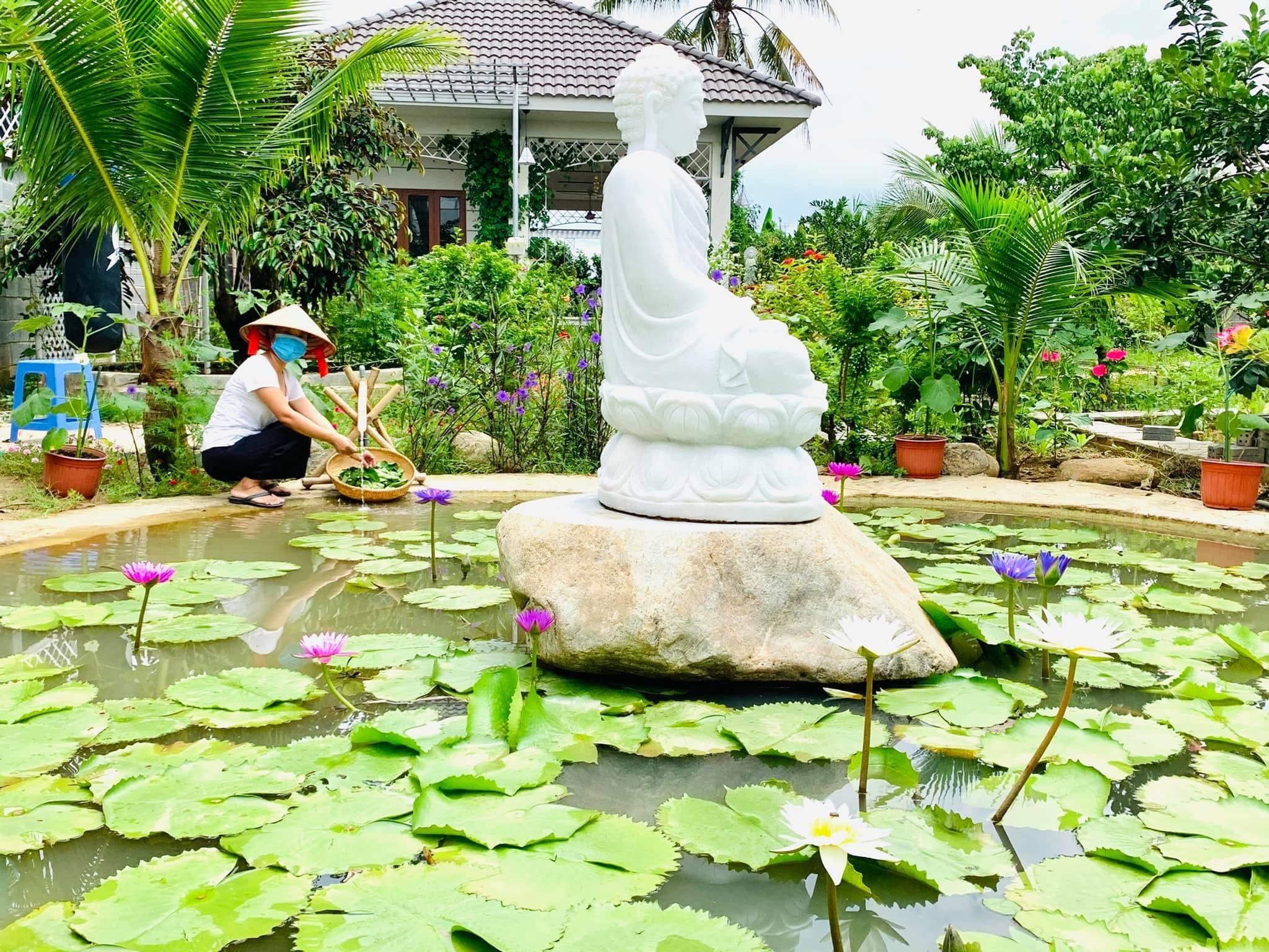 Chong tang vo manh dat 720 m2 de trong rau nuoi ca anh 6