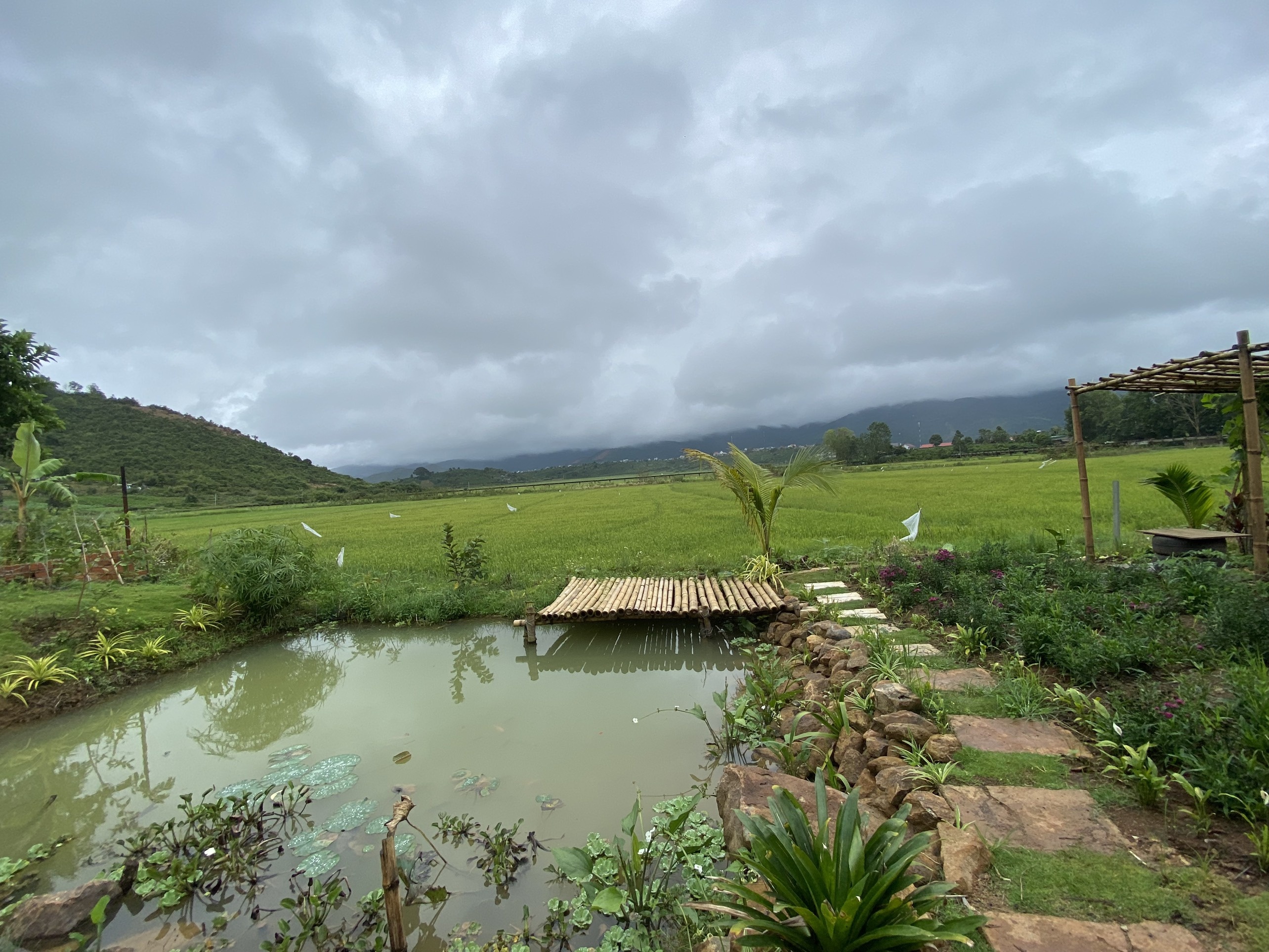 Mẹ đưa con trai rời TP.HCM về quê trong dịch ảnh 4 Me dua con trai roi TP.HCM ve que trong dich anh 4