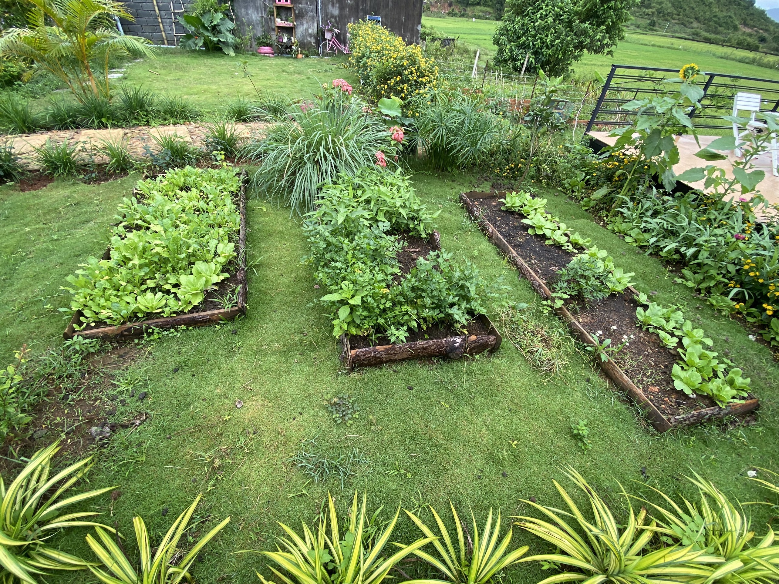 Mẹ đưa con trai rời TP.HCM về quê trong dịch ảnh 2 Me dua con trai roi TP.HCM ve que trong dich anh 2