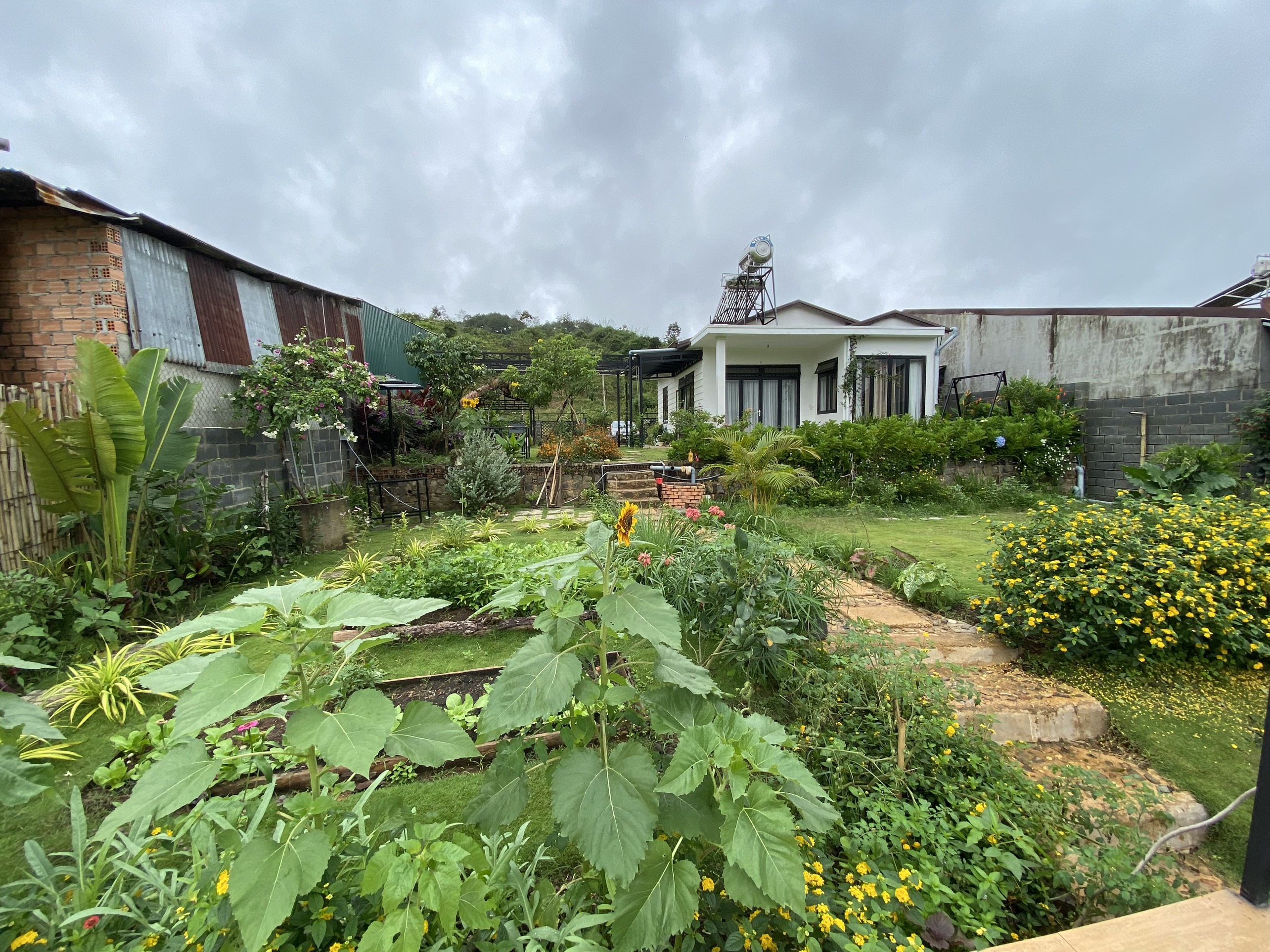 Me dua con trai roi TP.HCM ve que trong dich anh 1