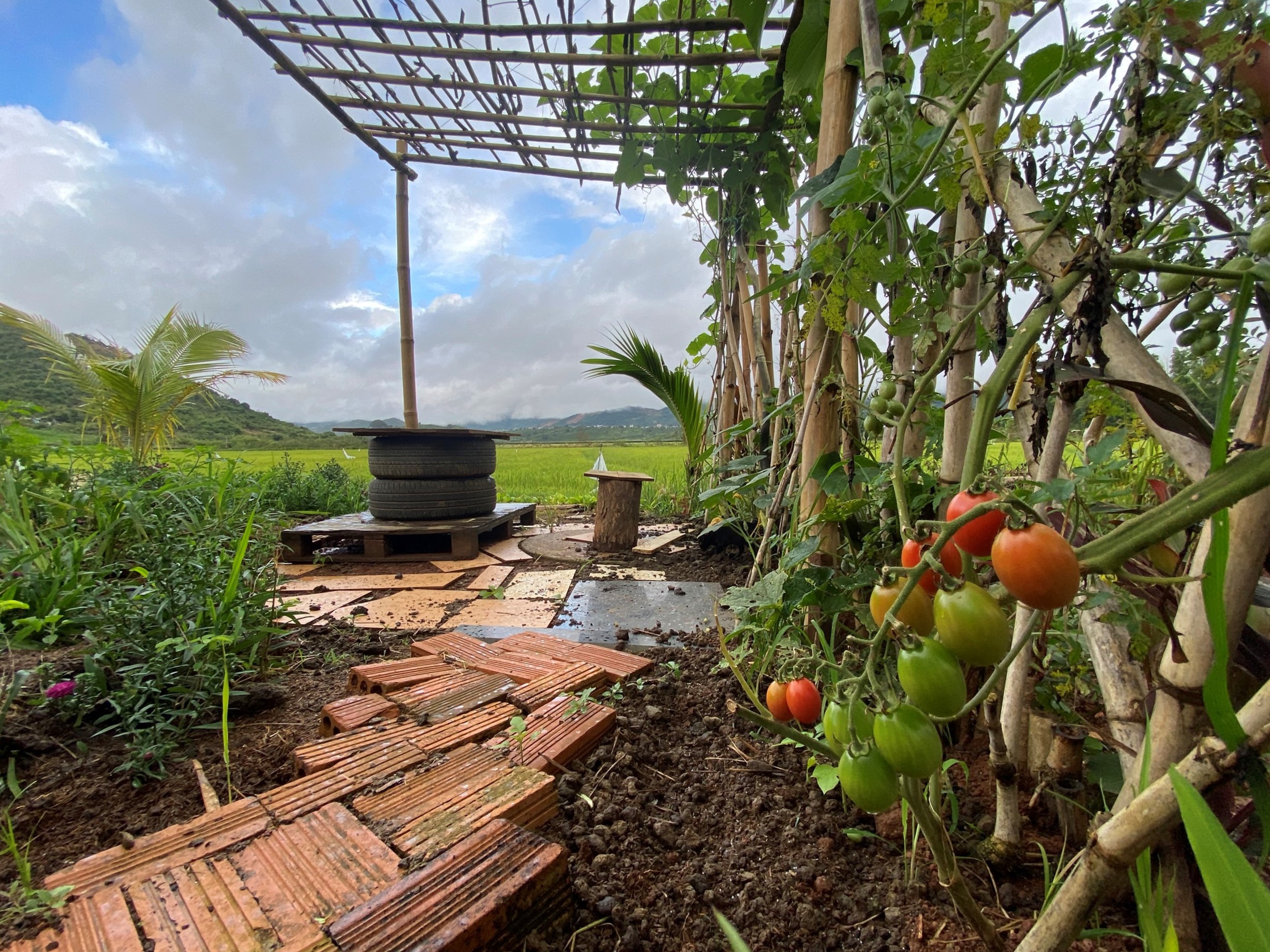 Mẹ đưa con trai rời TP.HCM về quê trong dịch ảnh 3 Me dua con trai roi TP.HCM ve que trong dich anh 3