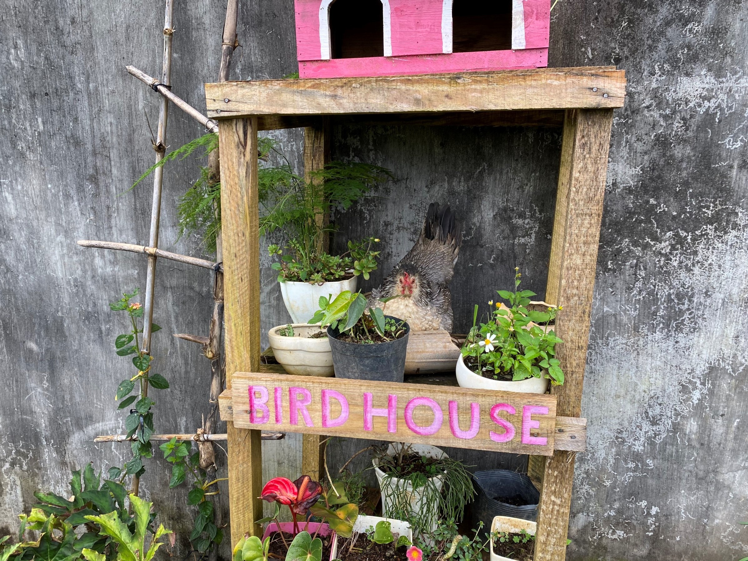 Mẹ đưa con trai rời TP.HCM về quê trong dịch ảnh 5 Me dua con trai roi TP.HCM ve que trong dich anh 5