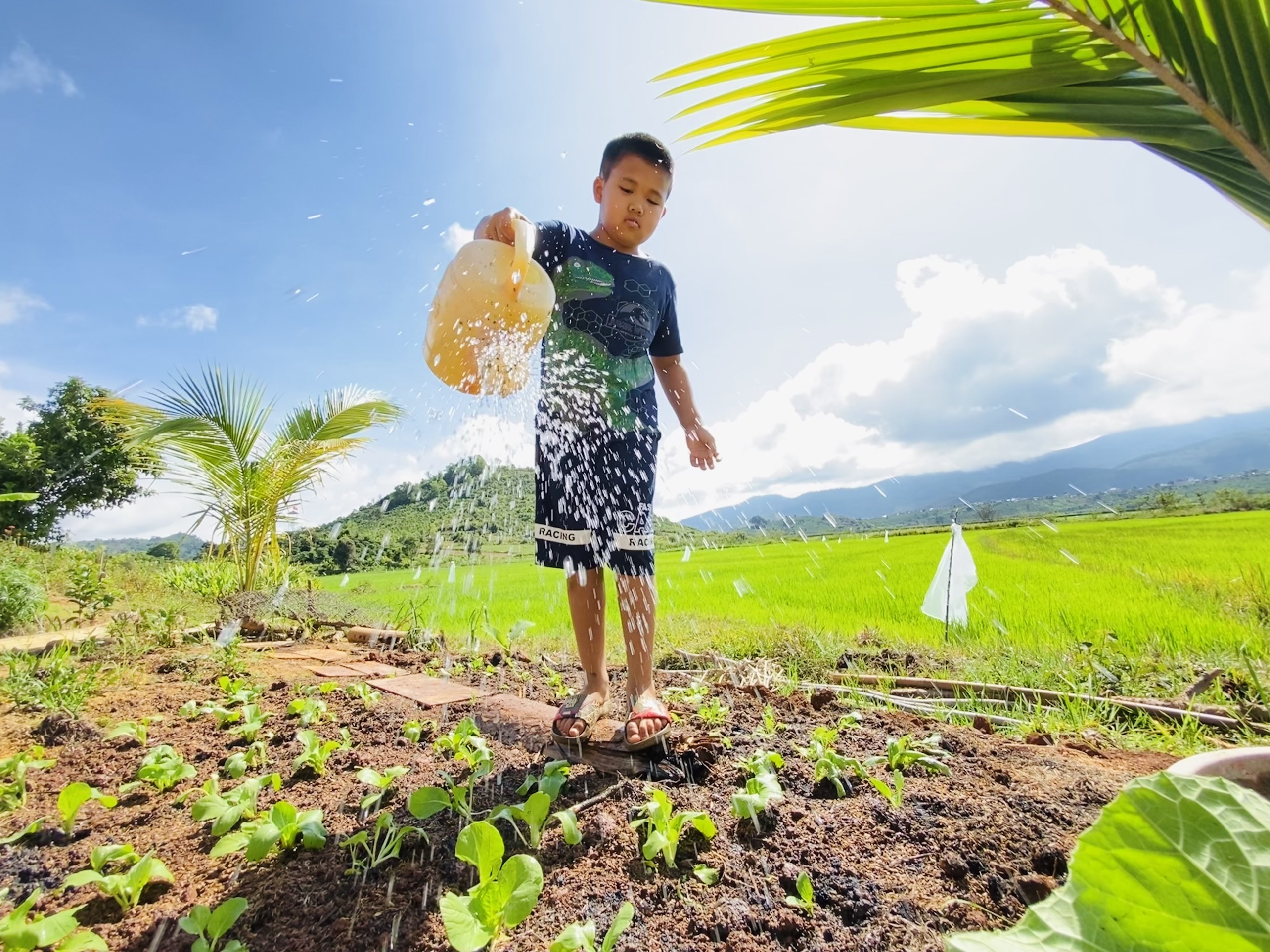 Mẹ đưa con trai rời TP.HCM về quê trong dịch ảnh 6 Me dua con trai roi TP.HCM ve que trong dich anh 6