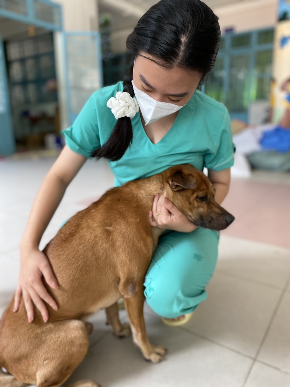 Tình nguyện viên ở TP.HCM chăm sóc chó mèo cho F0 ảnh 1 Tinh nguyen vien o TP.HCM cham soc cho meo cho F0 anh 1