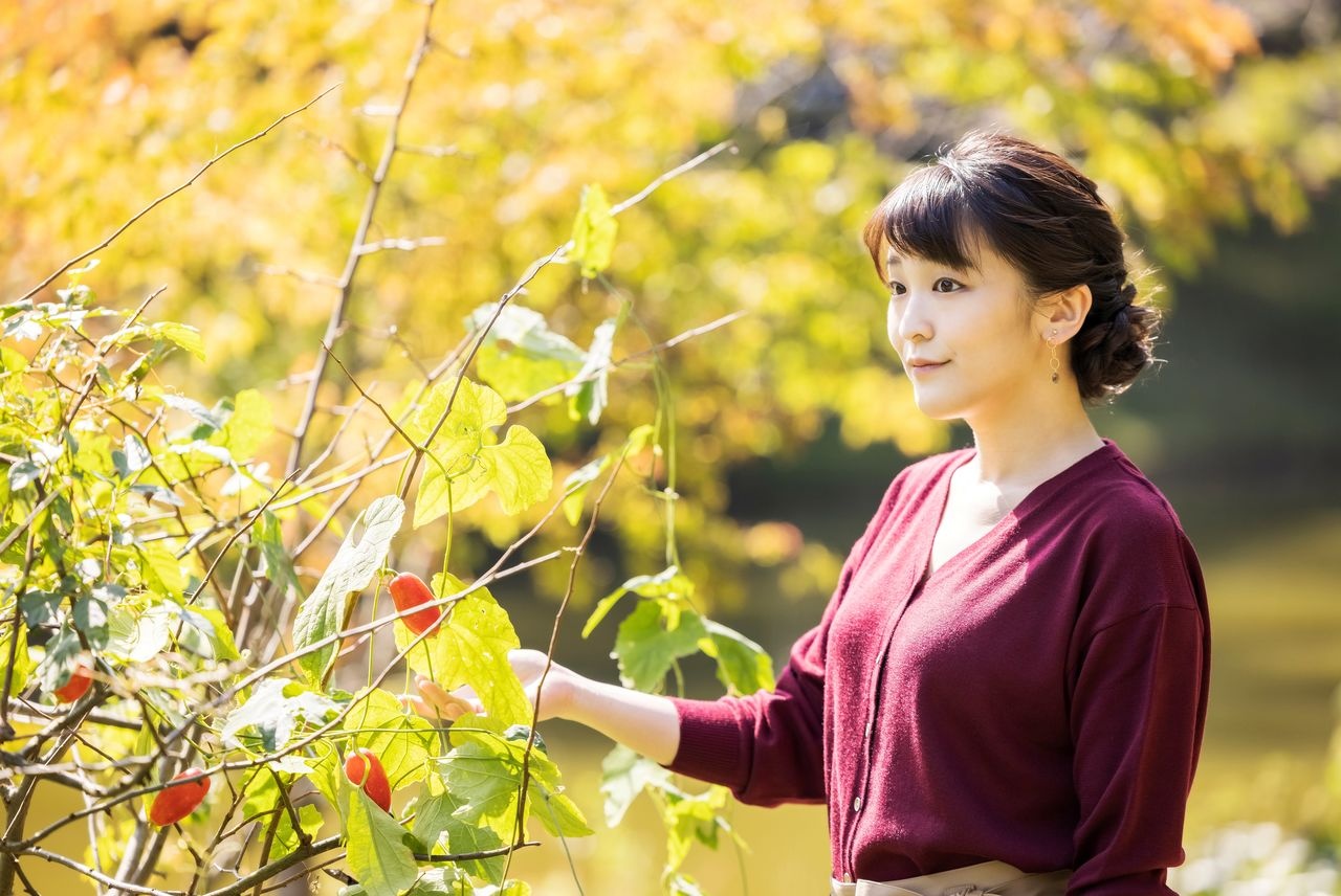Công chúa Mako đón sinh nhật 30 tuổi ảnh 1 Cong chua Mako don sinh nhat 30 tuoi anh 1