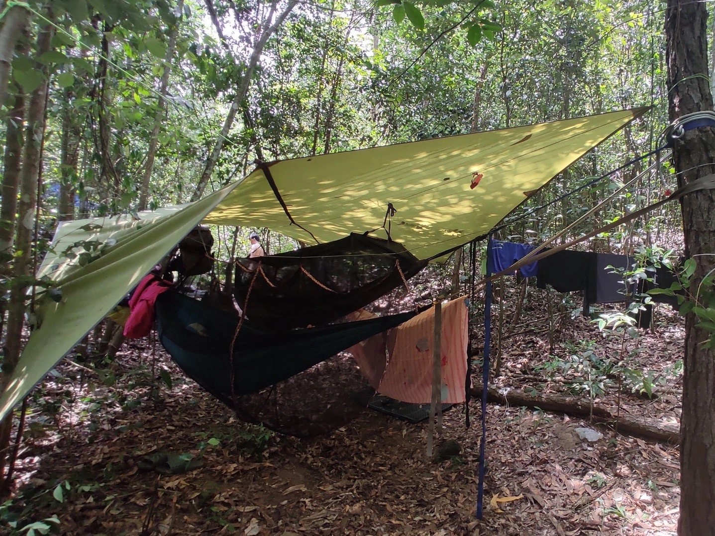 Ve lai thanh pho sau nhieu thang mac ket vi dich anh 2