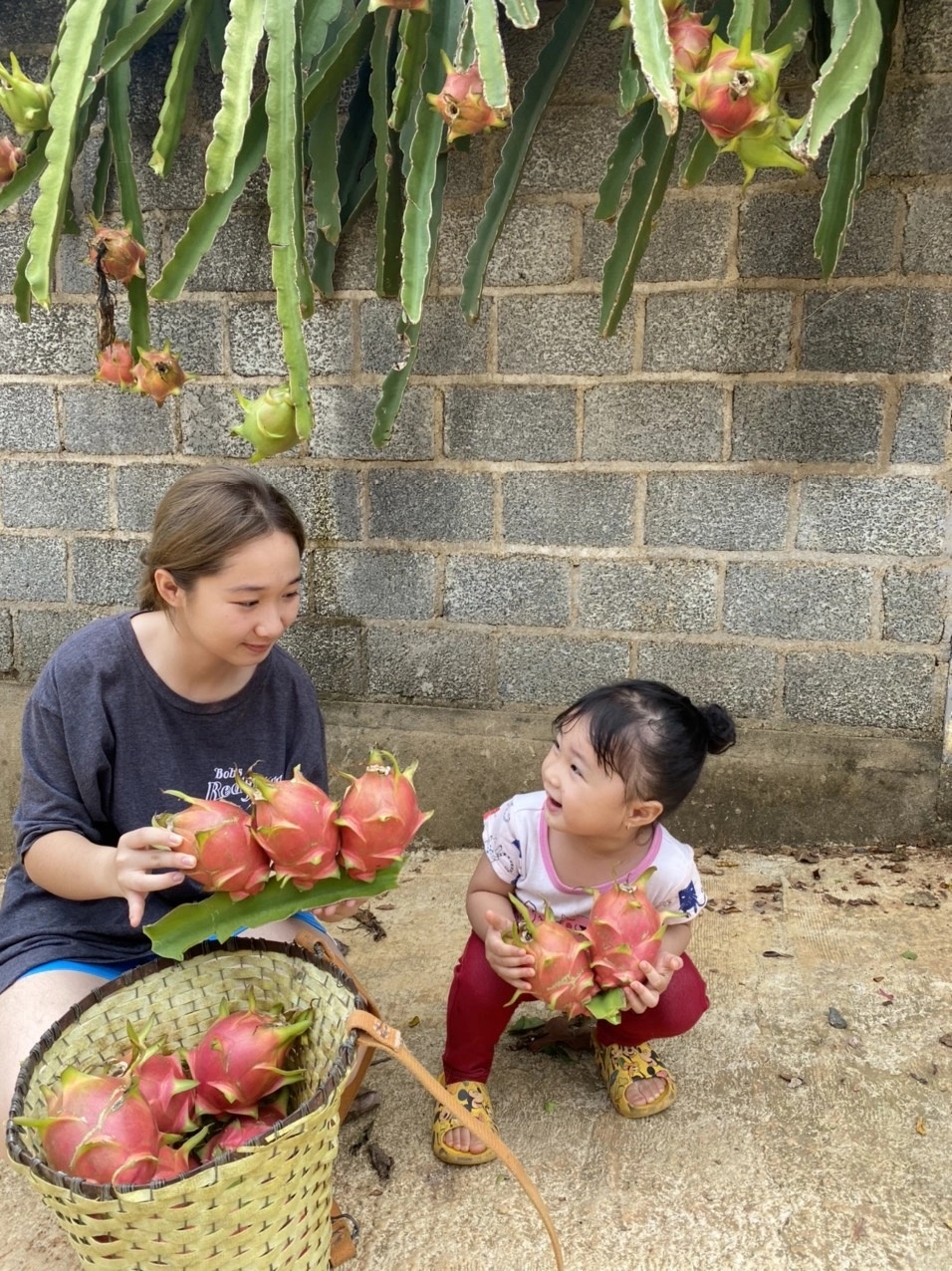 Ve lai thanh pho sau nhieu thang mac ket vi dich anh 9