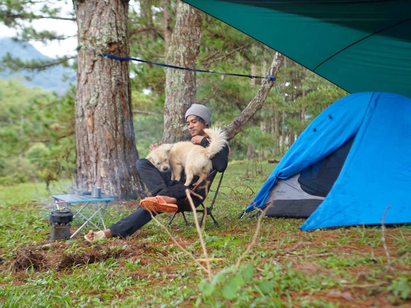 Ve lai thanh pho sau nhieu thang mac ket vi dich anh 1