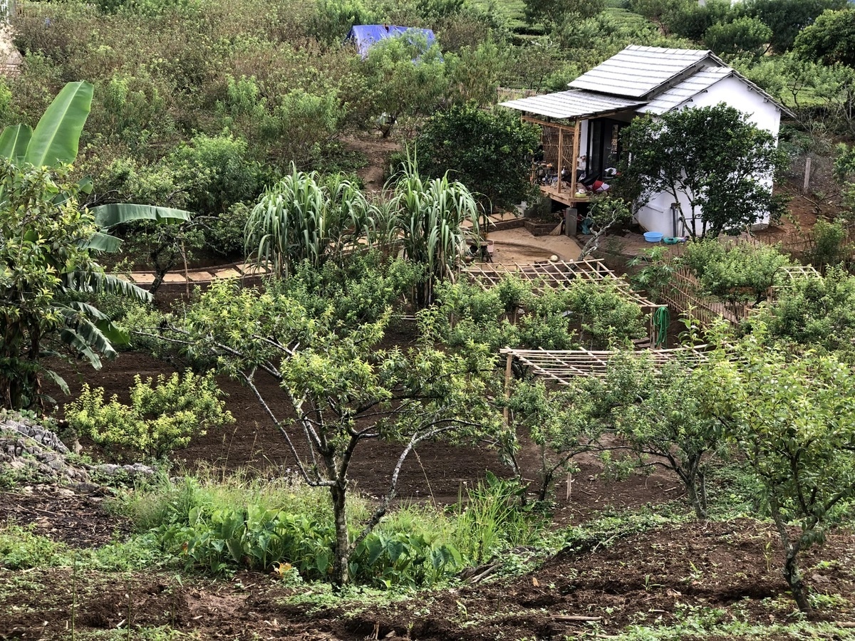 Ve lai thanh pho sau nhieu thang mac ket vi dich anh 4