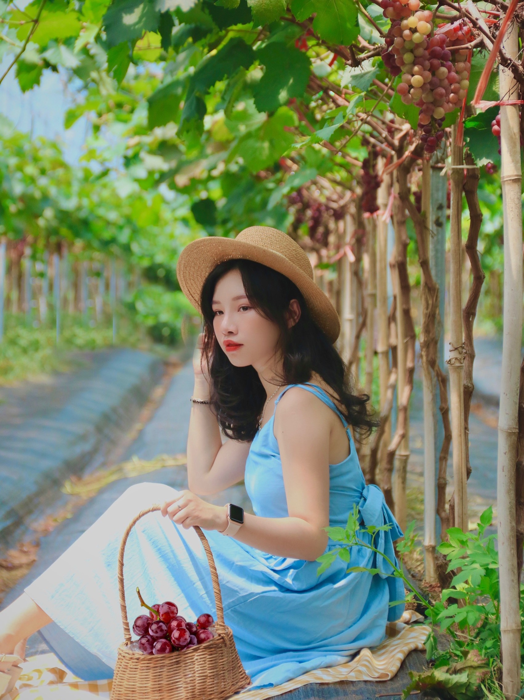 Nhieu ban tre van ngai di du lich hau gian cach anh 3