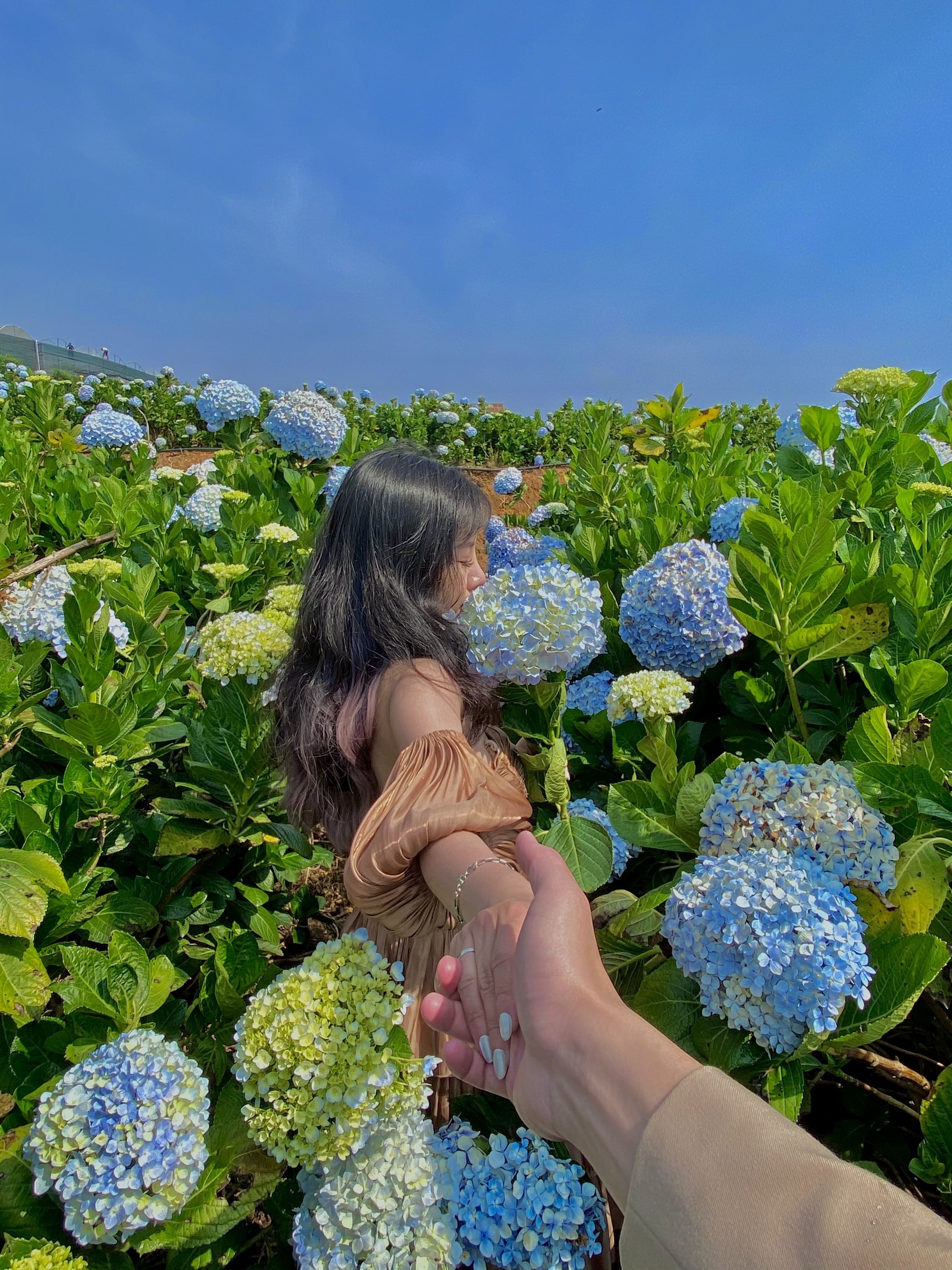 Nhieu ban tre van ngai di du lich hau gian cach anh 2