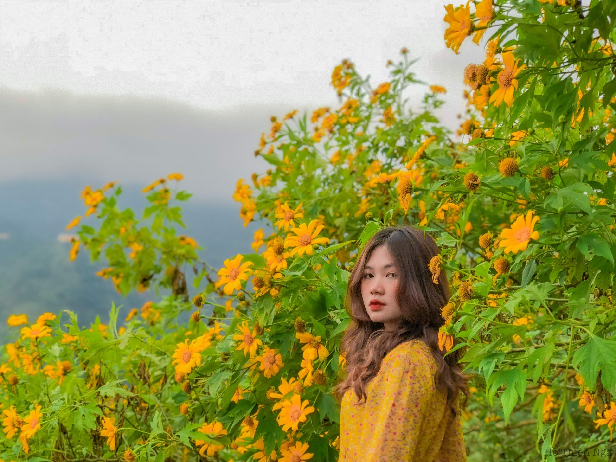 Nhieu ban tre van ngai di du lich hau gian cach anh 6