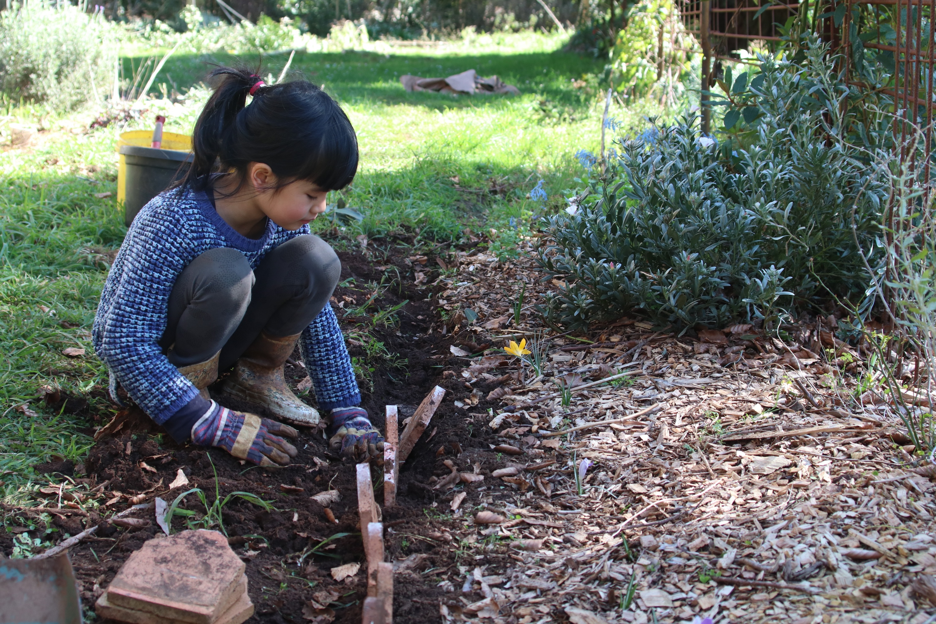 Khu vuon 6.000 m2 cua nguoi me Viet o Australia anh 11