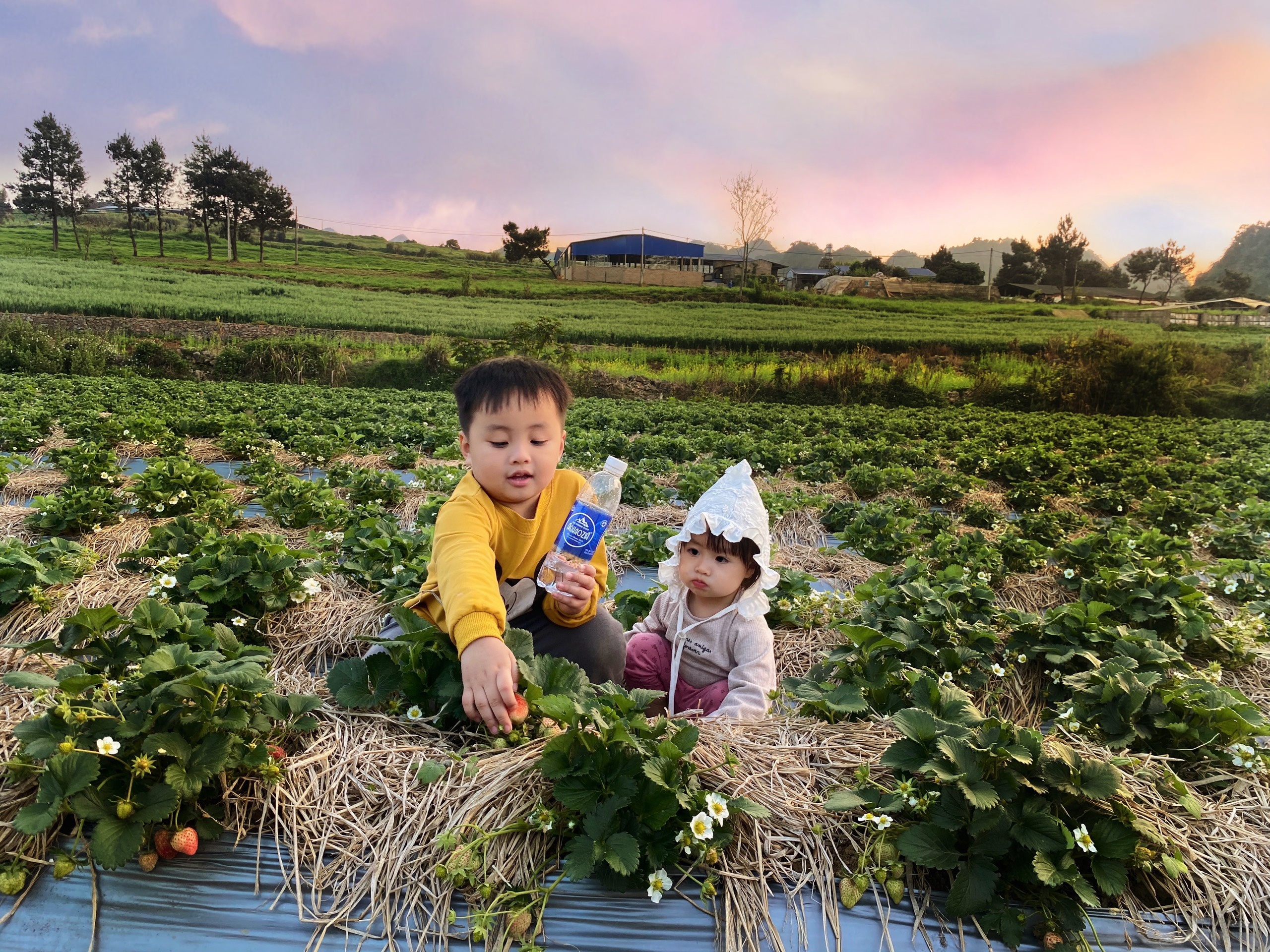 Vợ chồng trẻ cho con đi cắm trại để tận hưởng cuộc sống ảnh 7 Vo chong tre cho con di cam trai de tan huong cuoc song anh 7