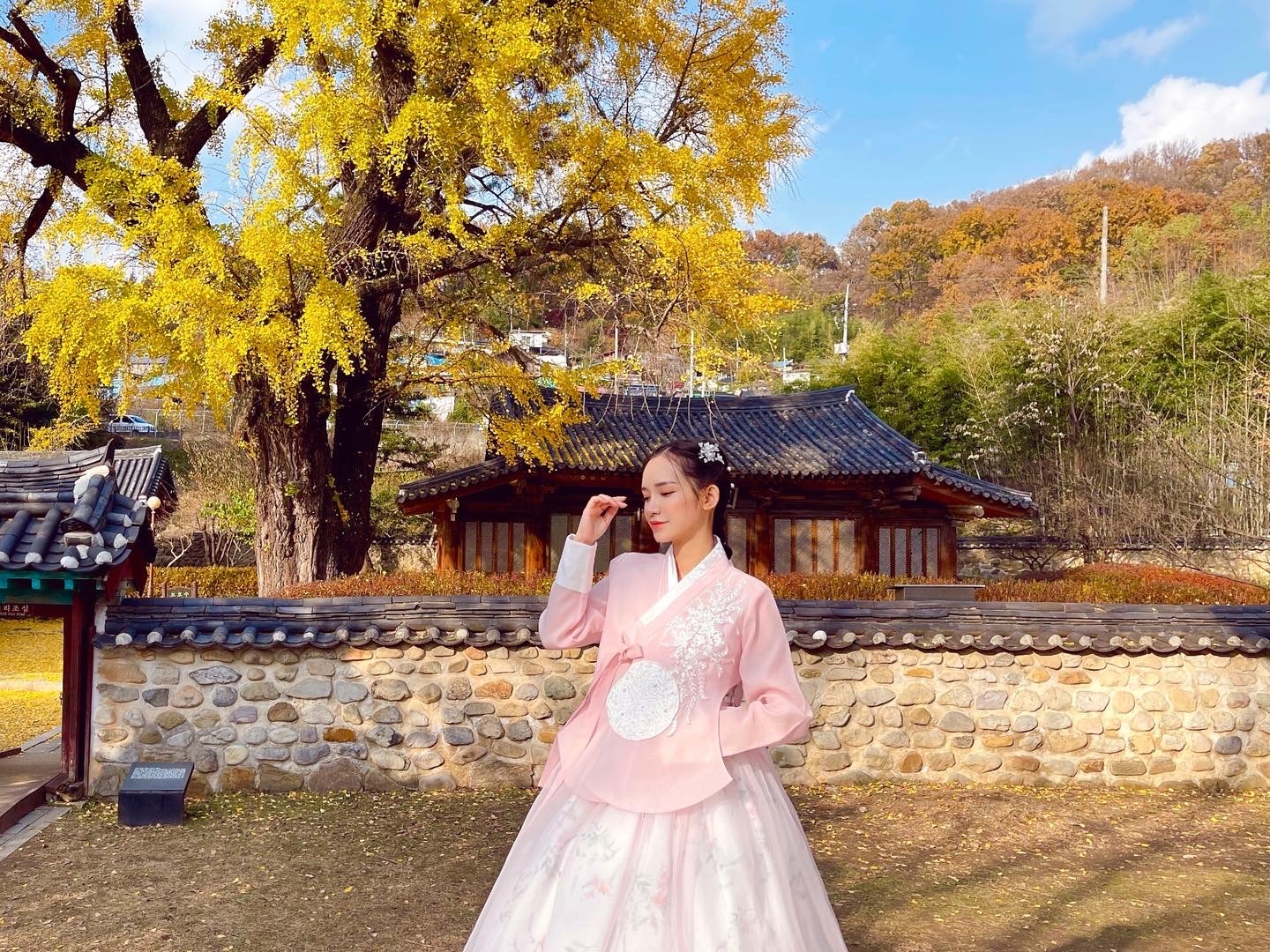 Vo Viet chong Han dua con di cam trai anh 10