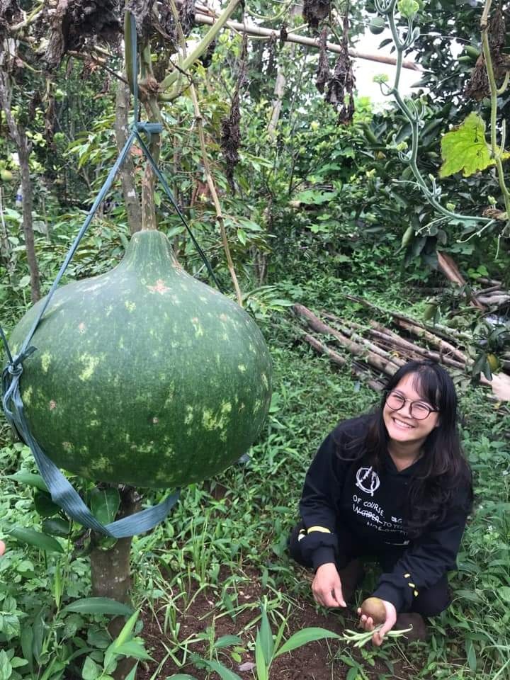 Kẹt lại trong dịch ảnh 4 Ket lai trong dich anh 4