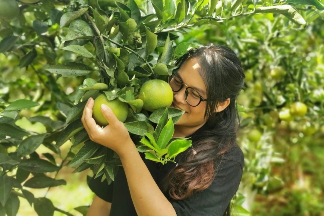 Ket lai Viet Nam vi dich, nguoi phu nu mua dat trong trai cay sach hinh anh