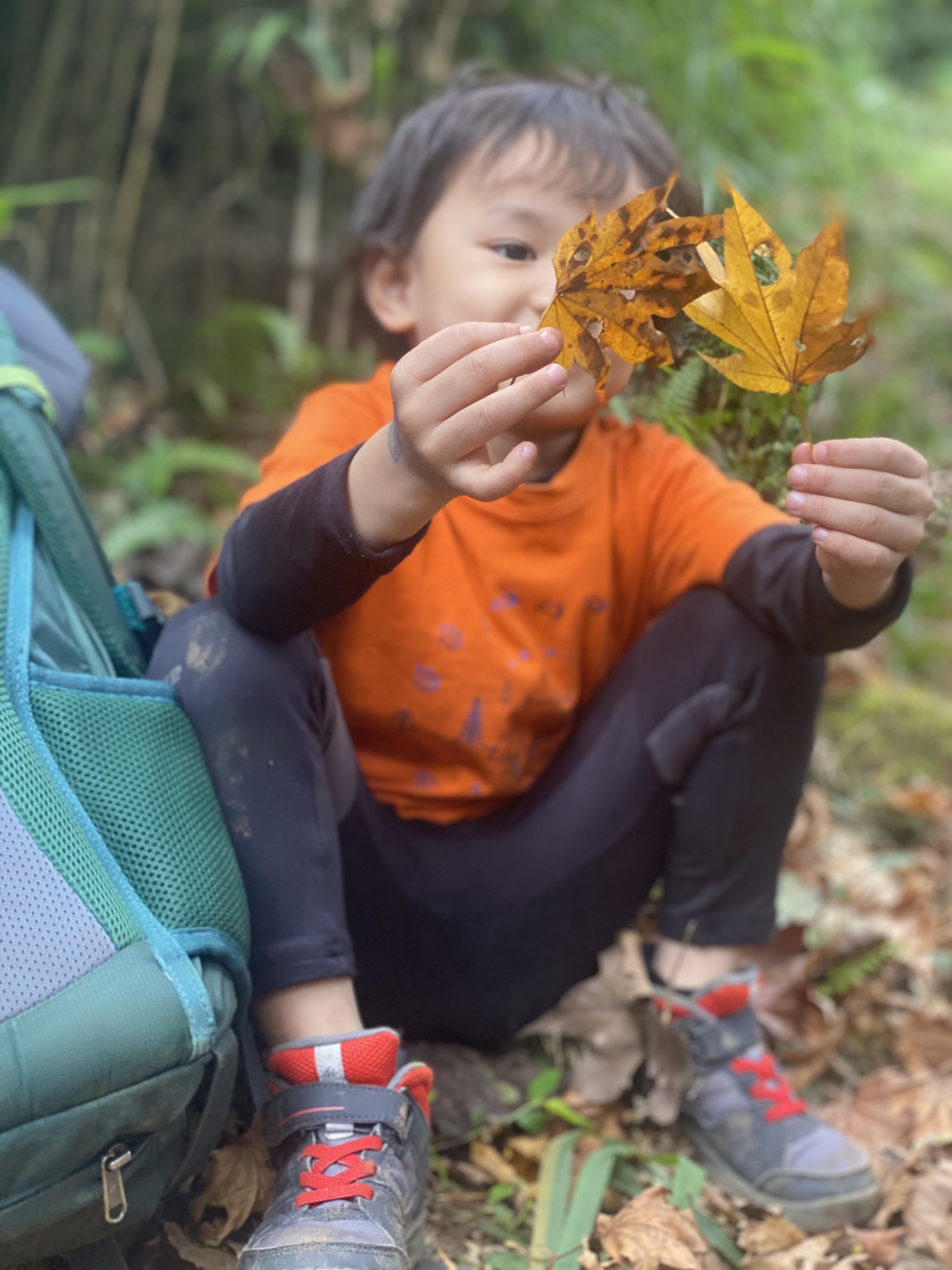 Cau be 4 tuoi leo 4 dinh nui o Tay Bac anh 11