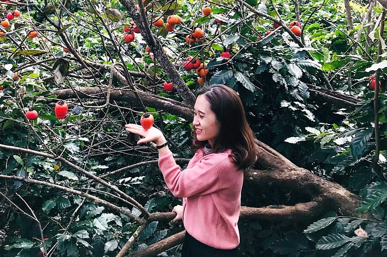 Co gai bo viec, mot minh vao Da Lat lap nghiep voi 7 trieu dong hinh anh