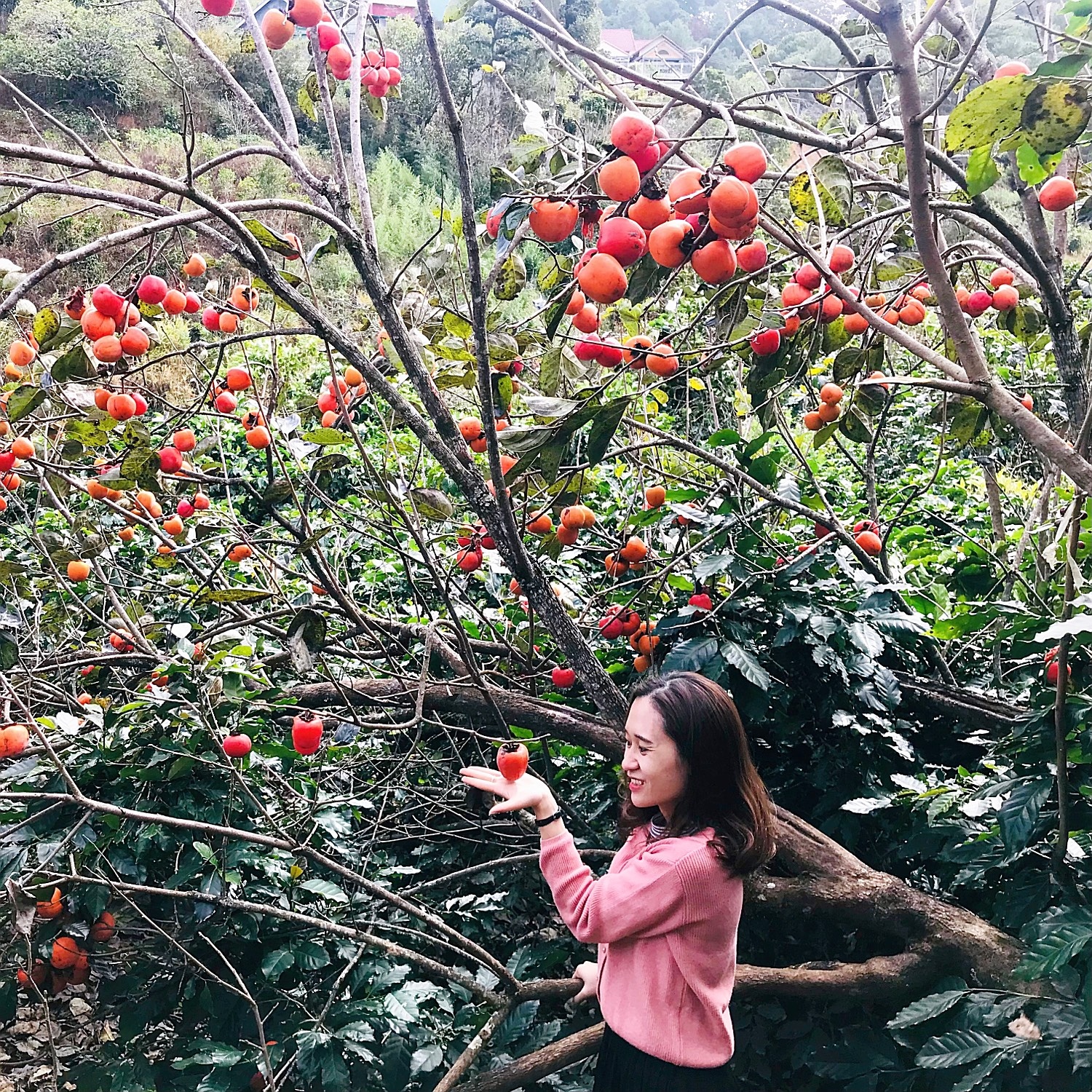 Bo viec vao Da Lat lap nghiep anh 2