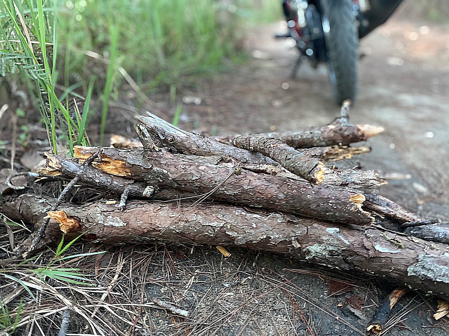 Bỏ việc vào Đà Lạt lập nghiệp ảnh 5 Bo viec vao Da Lat lap nghiep anh 5