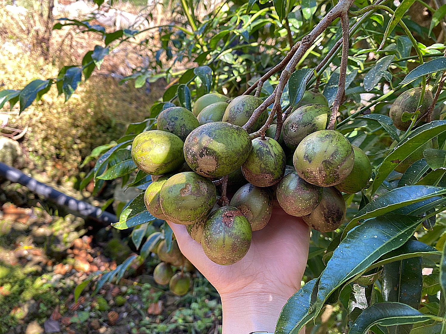 Bỏ việc vào Đà Lạt lập nghiệp ảnh 6 Bo viec vao Da Lat lap nghiep anh 6