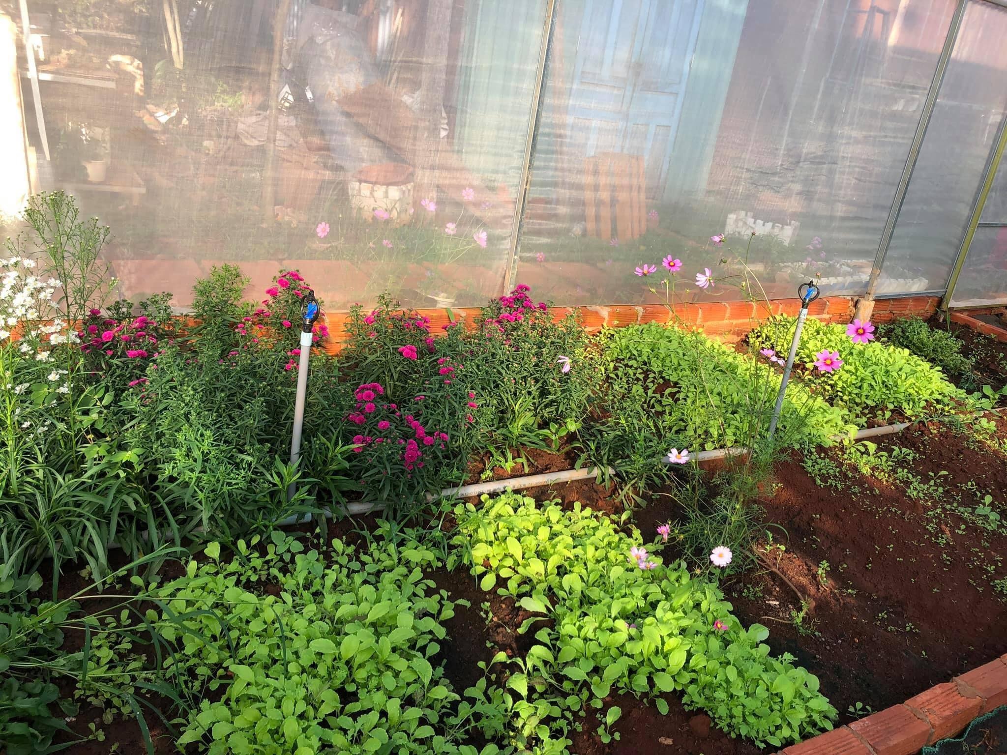 Dung nha trong dich anh 4