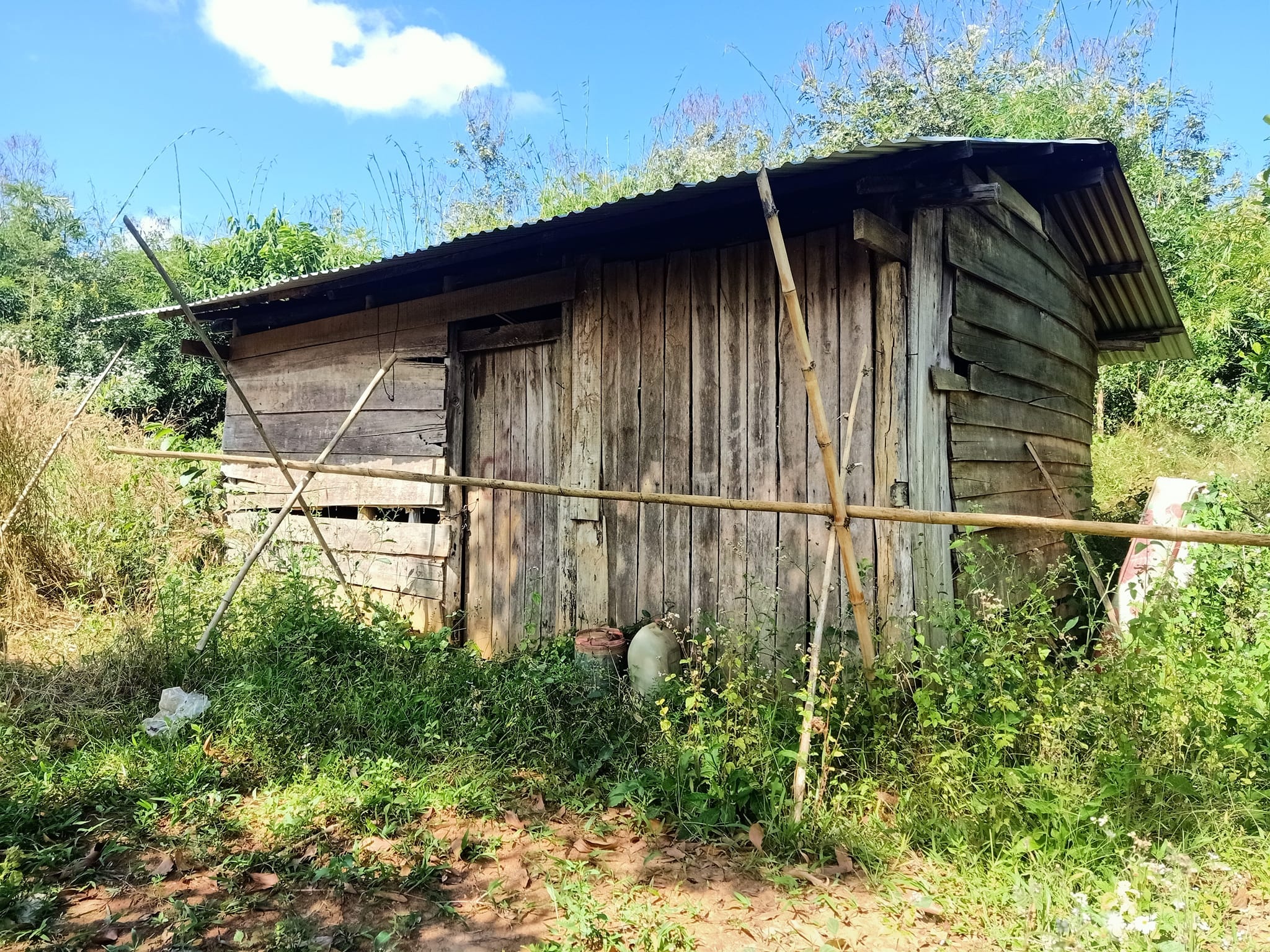 Cuoc song bo pho ve rung khong nhu mo anh 8