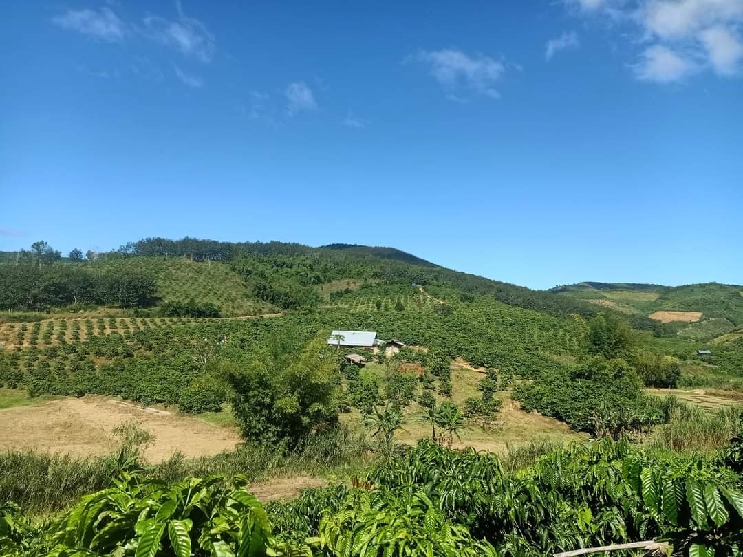 Cuoc song bo pho ve rung khong nhu mo anh 7