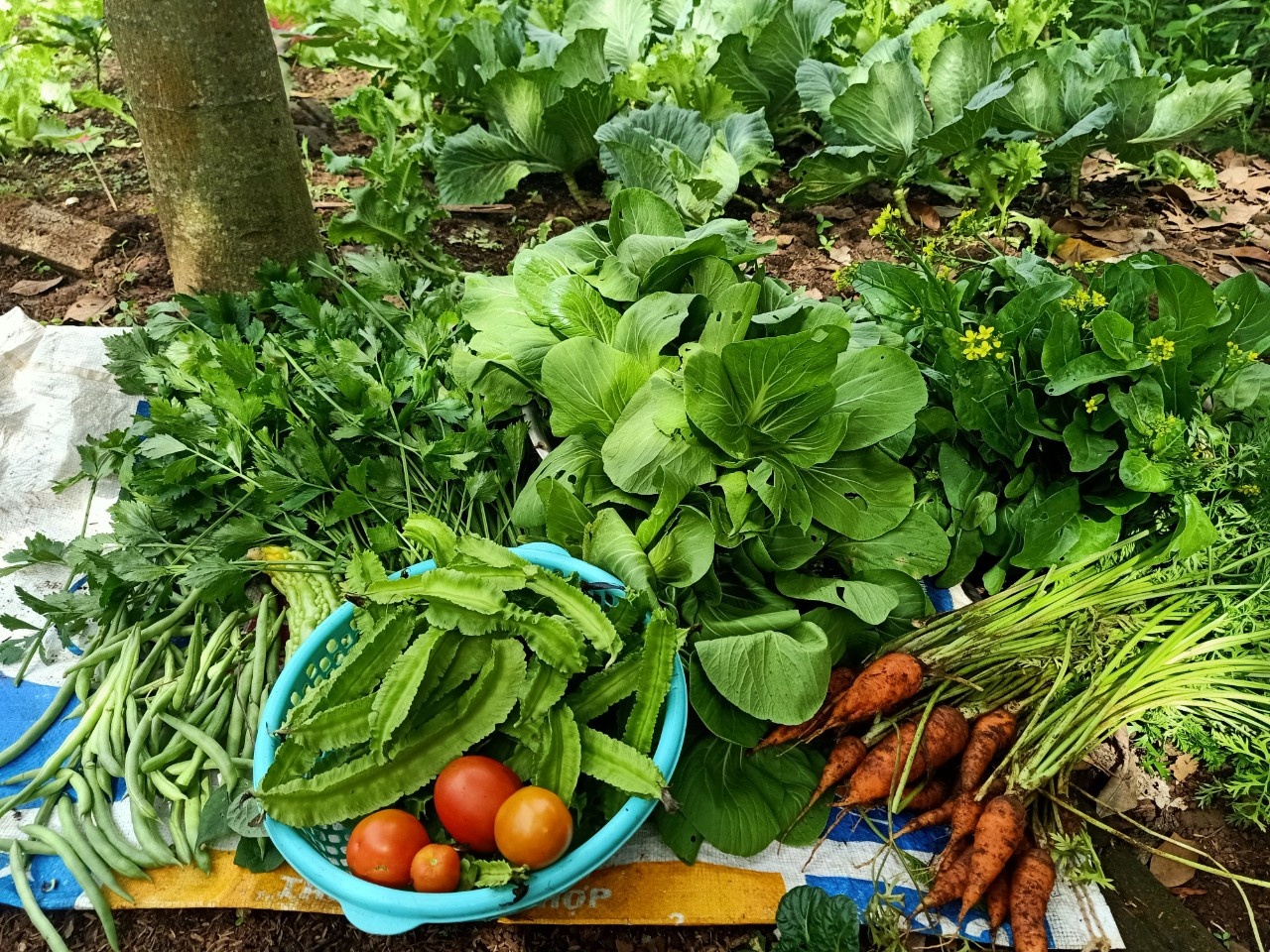 Cuoc song bo pho ve rung khong nhu mo anh 6