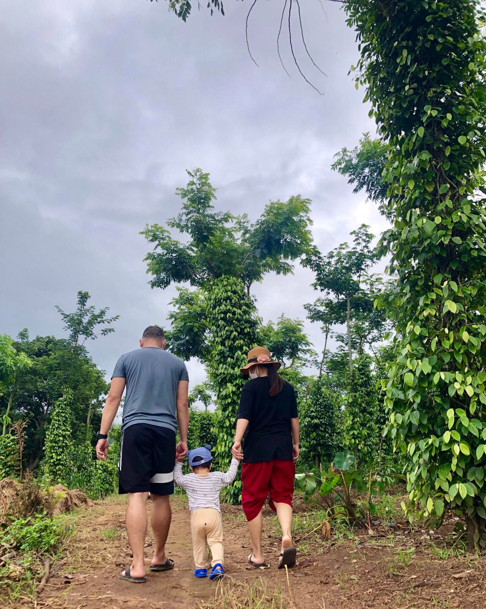 Sống ở cả thành phố và vùng quê ảnh 11 Song o ca thanh pho va vung que anh 11