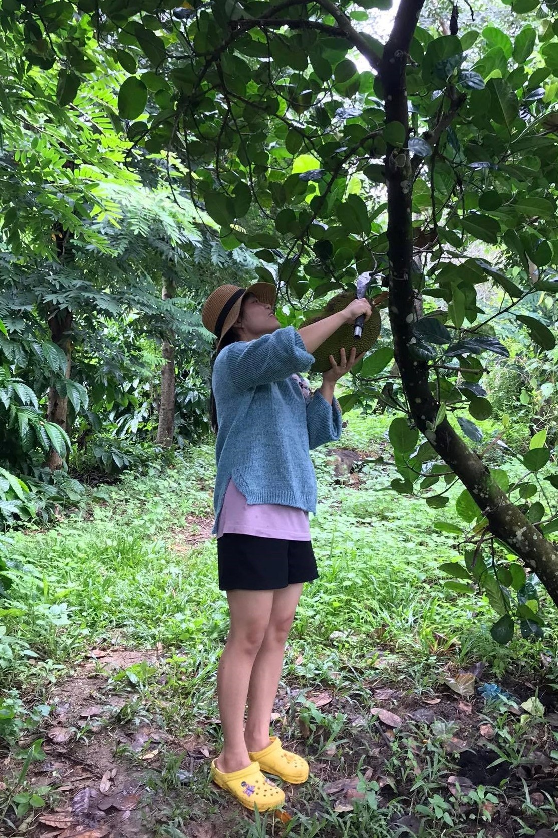 Sống ở cả thành phố và vùng quê ảnh 12 Song o ca thanh pho va vung que anh 12