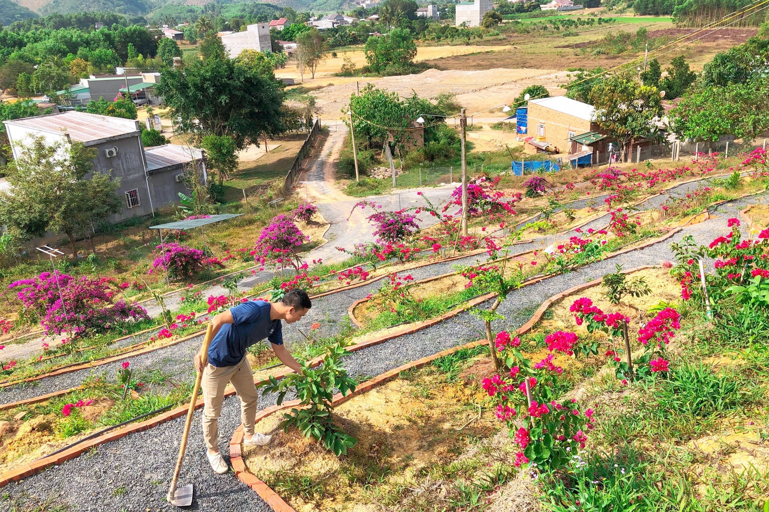 Sống ở cả thành phố và vùng quê ảnh 6 Song o ca thanh pho va vung que anh 6