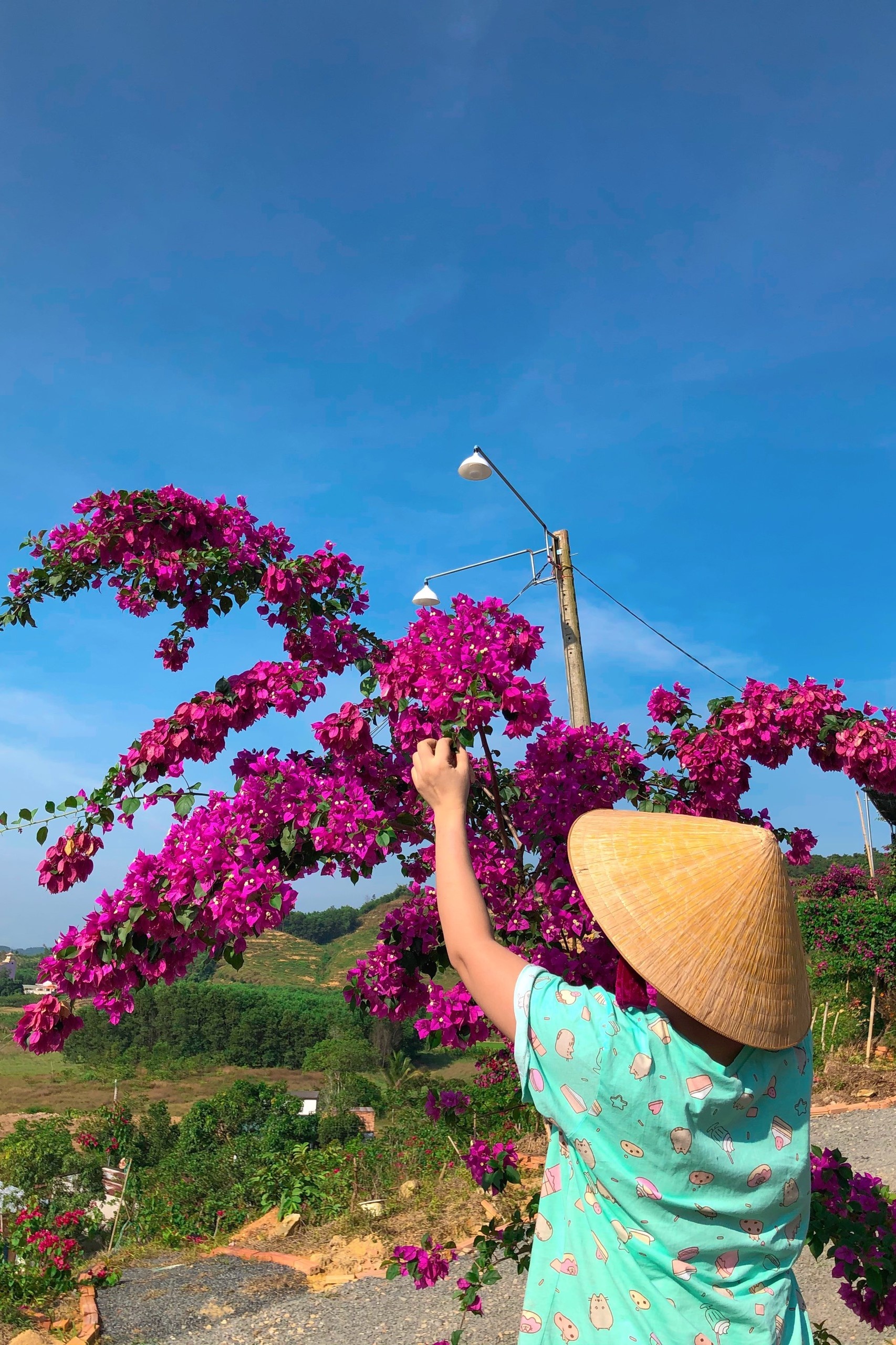 Sống ở cả thành phố và vùng quê ảnh 8 Song o ca thanh pho va vung que anh 8