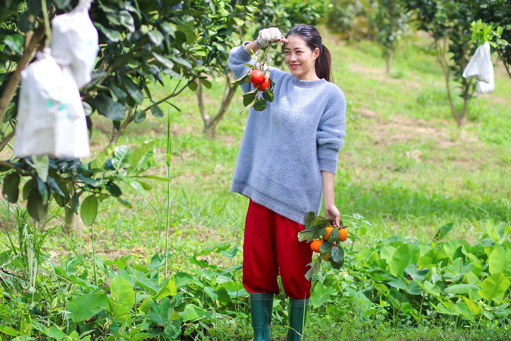 Sống ở cả thành phố và vùng quê ảnh 5 Song o ca thanh pho va vung que anh 5