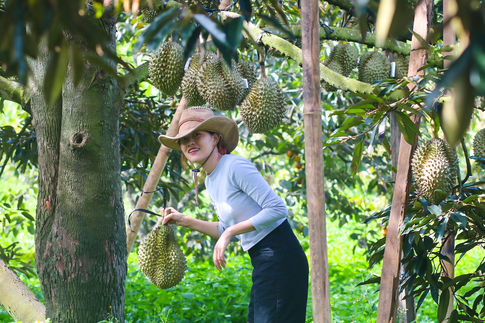 Sống ở cả thành phố và vùng quê ảnh 1 Song o ca thanh pho va vung que anh 1