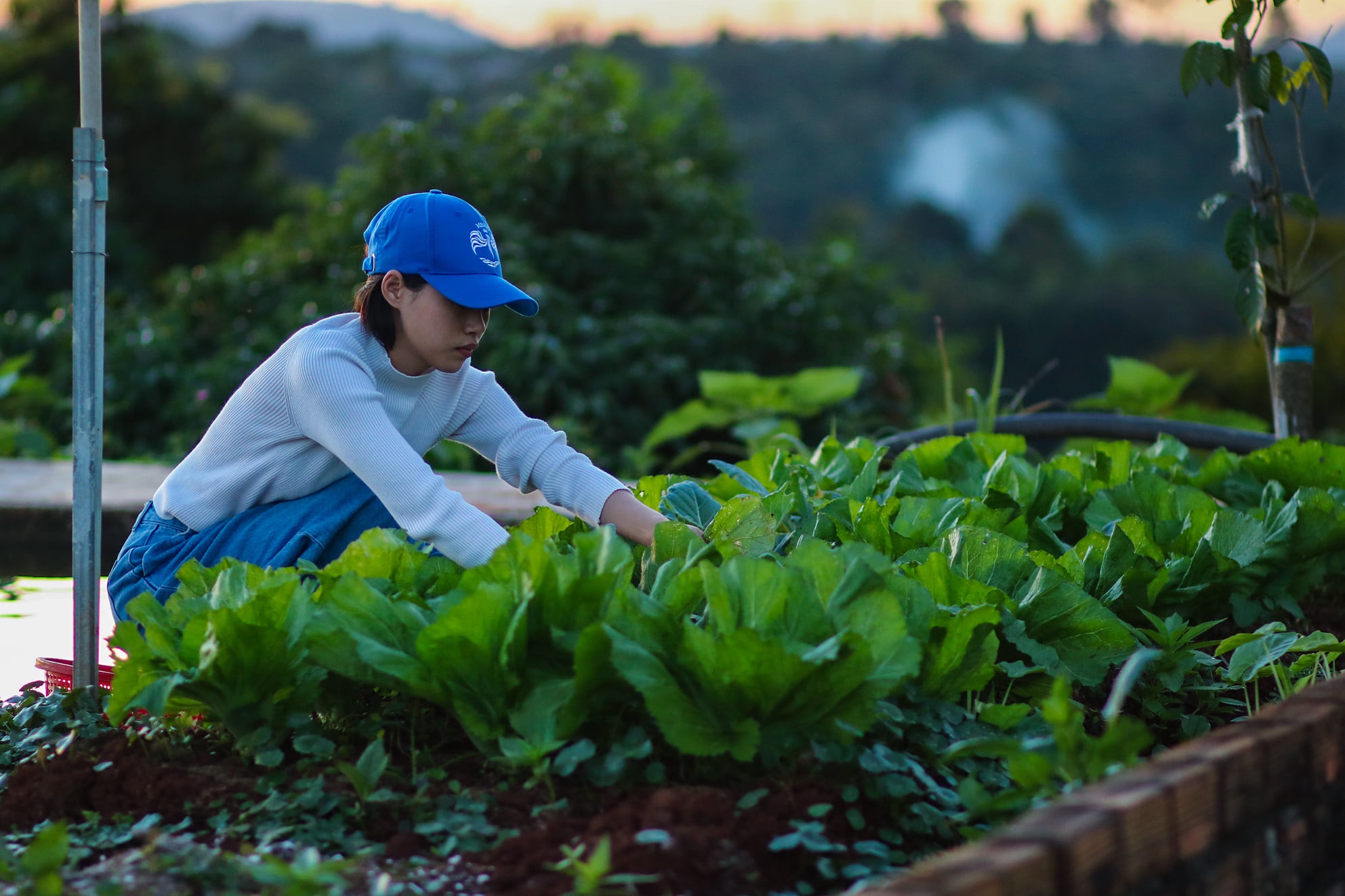 Sống ở cả thành phố và vùng quê ảnh 2 Song o ca thanh pho va vung que anh 2