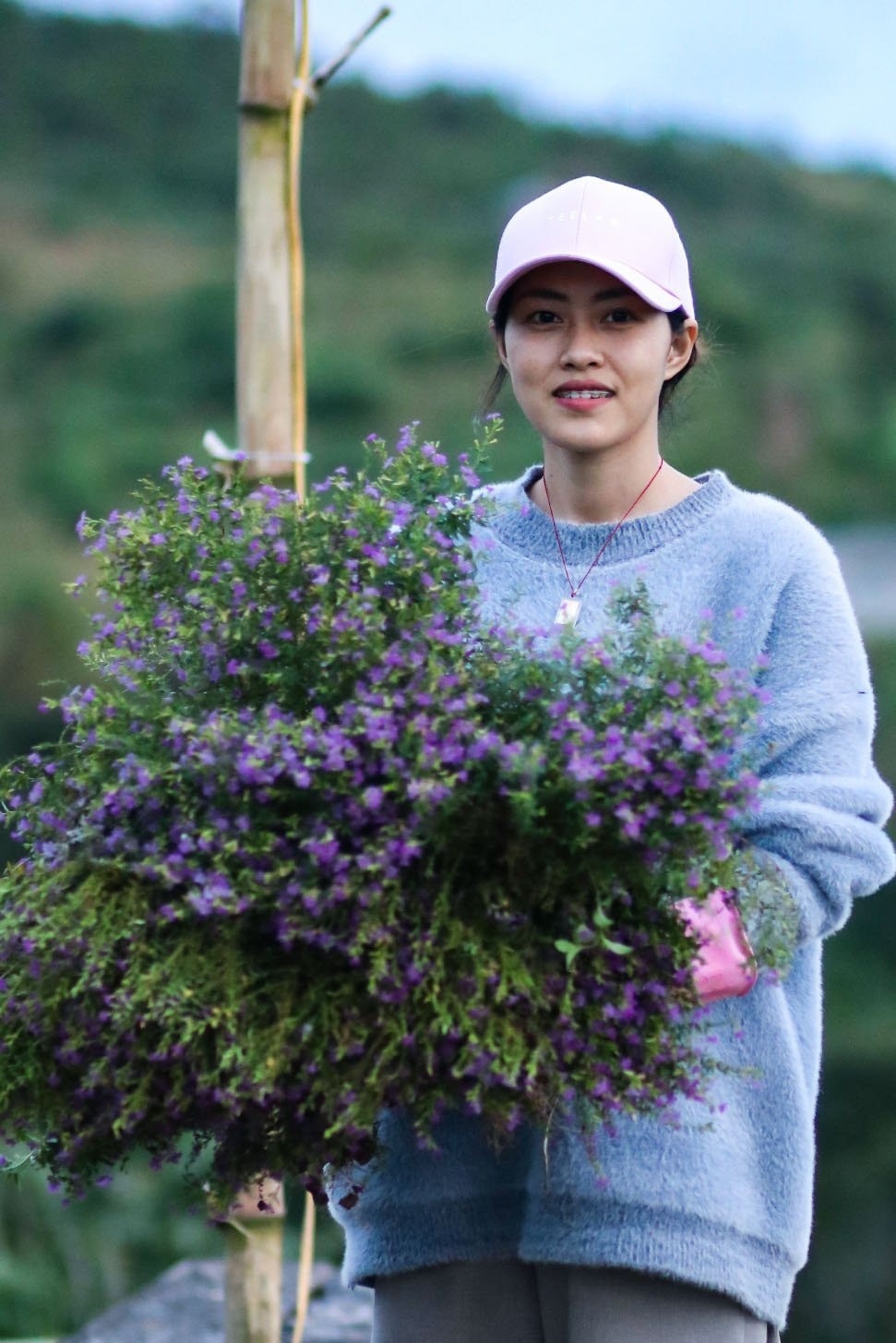 Sống ở cả thành phố và vùng quê ảnh 3 Song o ca thanh pho va vung que anh 3